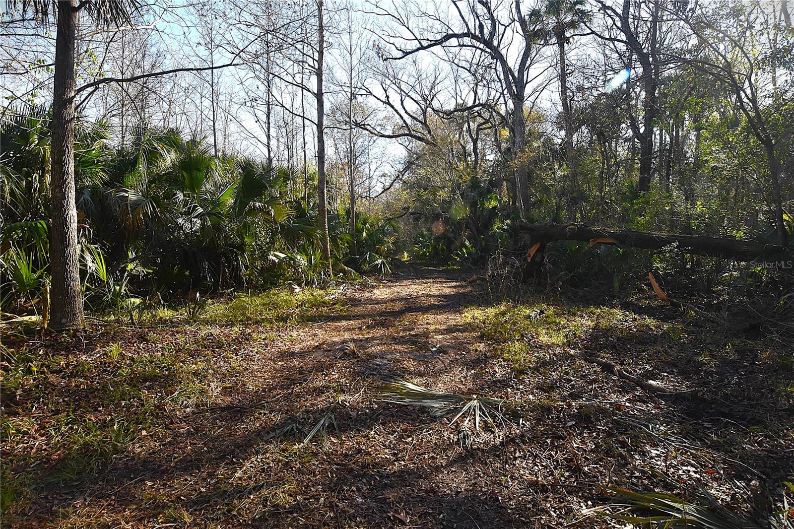 Image 2 of 10 For 4721 Lingo Grove Road