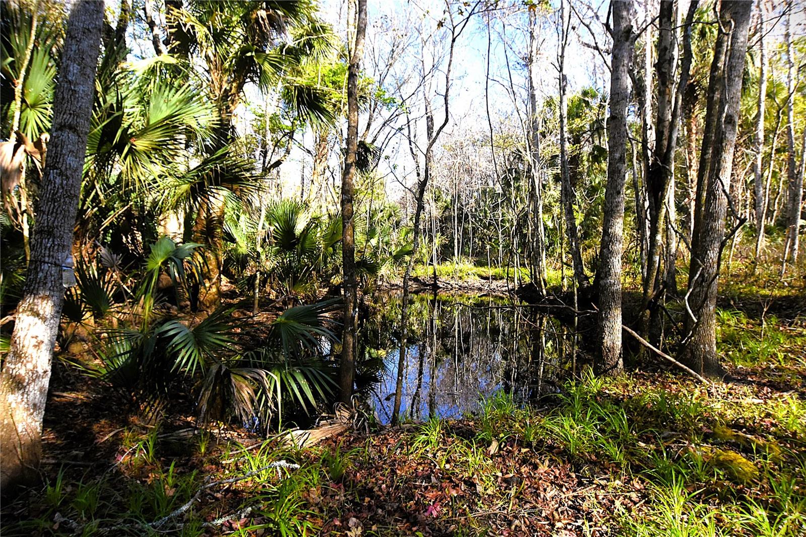 Image 4 of 10 For 4721 Lingo Grove Road