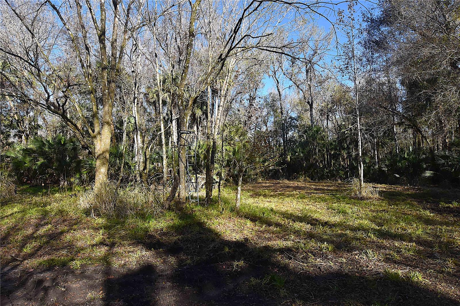 Image 5 of 10 For 4721 Lingo Grove Road