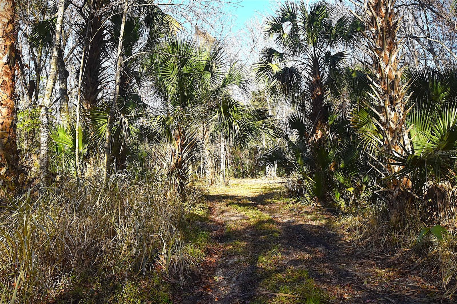 Image 6 of 10 For 4721 Lingo Grove Road