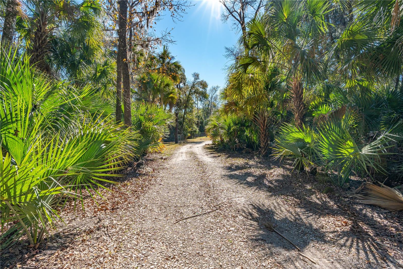 Image 39 of 51 For 3180 Volco Road