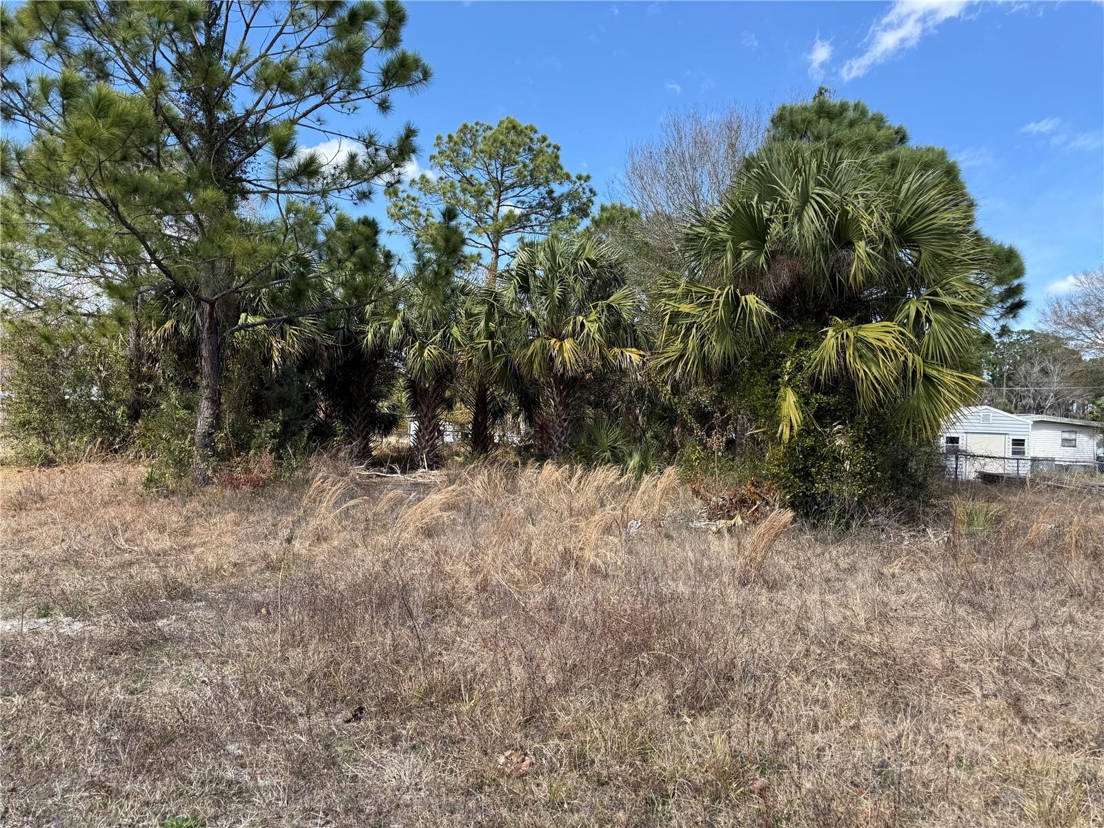 Image 4 of 6 For 1069 Massey Road