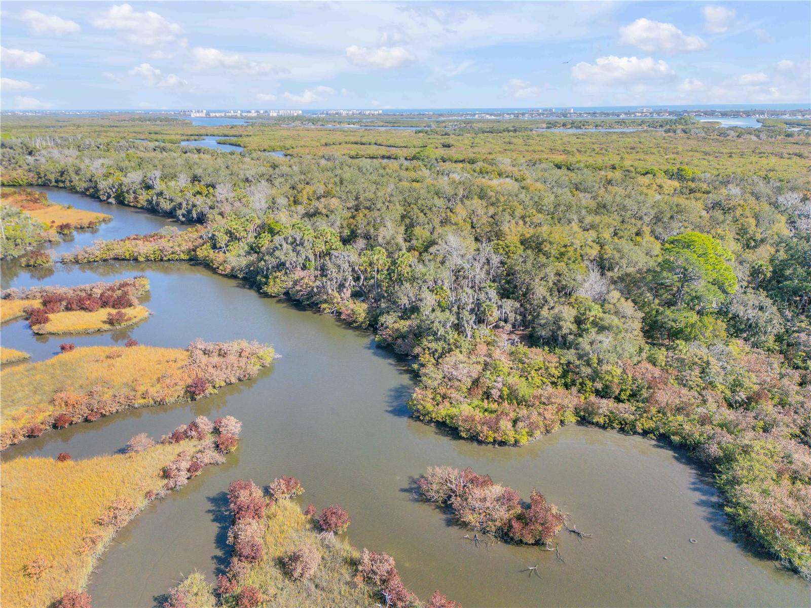 Image 58 of 72 For 3054 Dixie Freeway