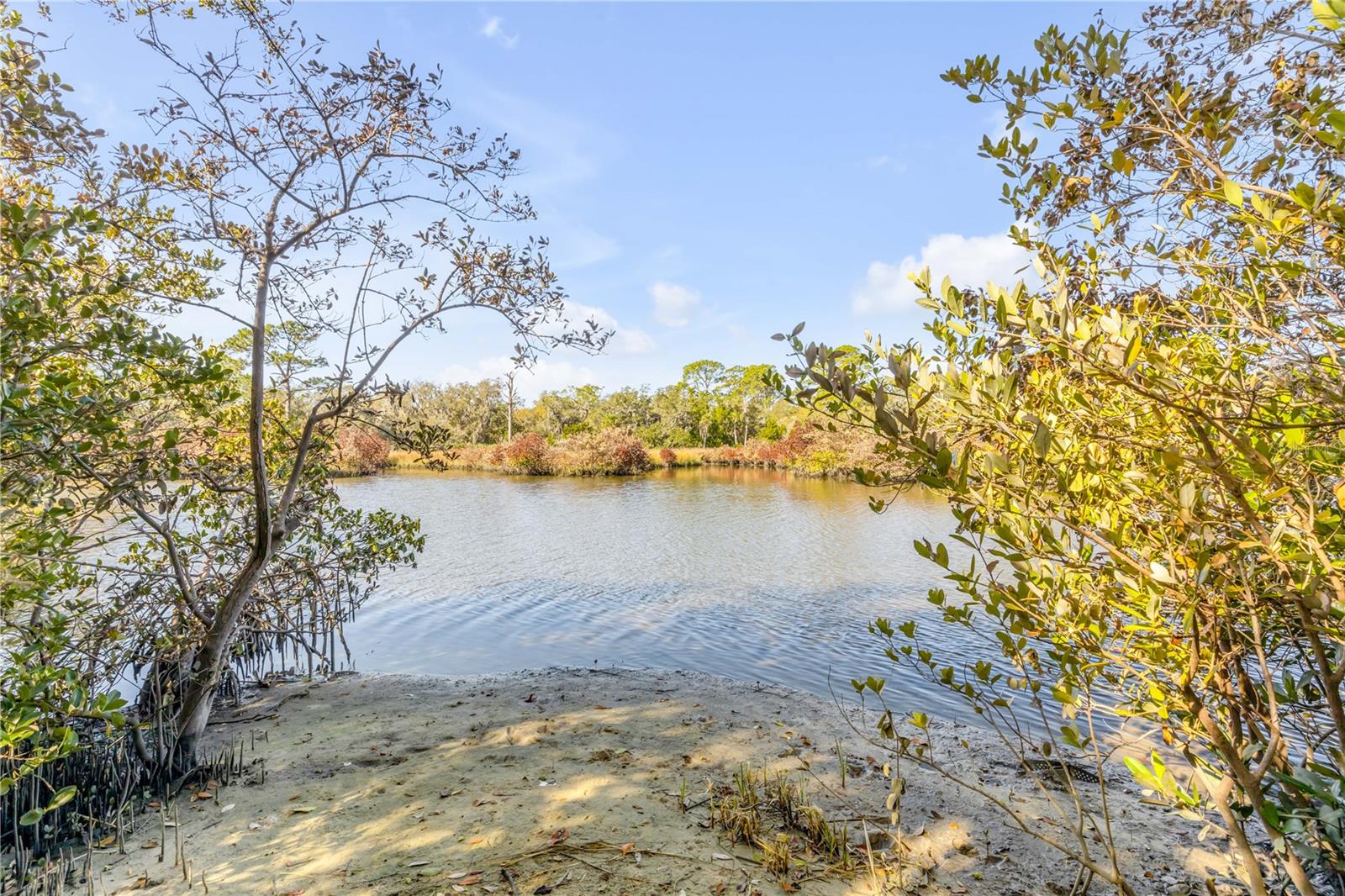 Image 6 of 72 For 3054 Dixie Freeway