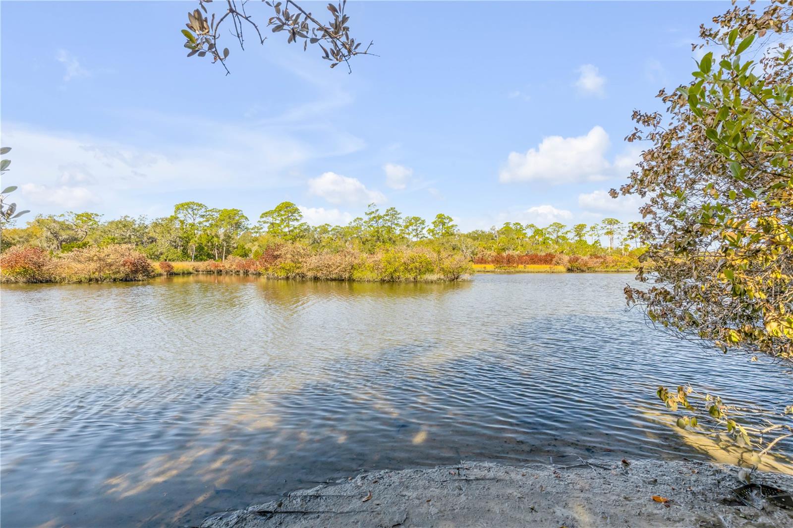 Image 63 of 72 For 3054 Dixie Freeway