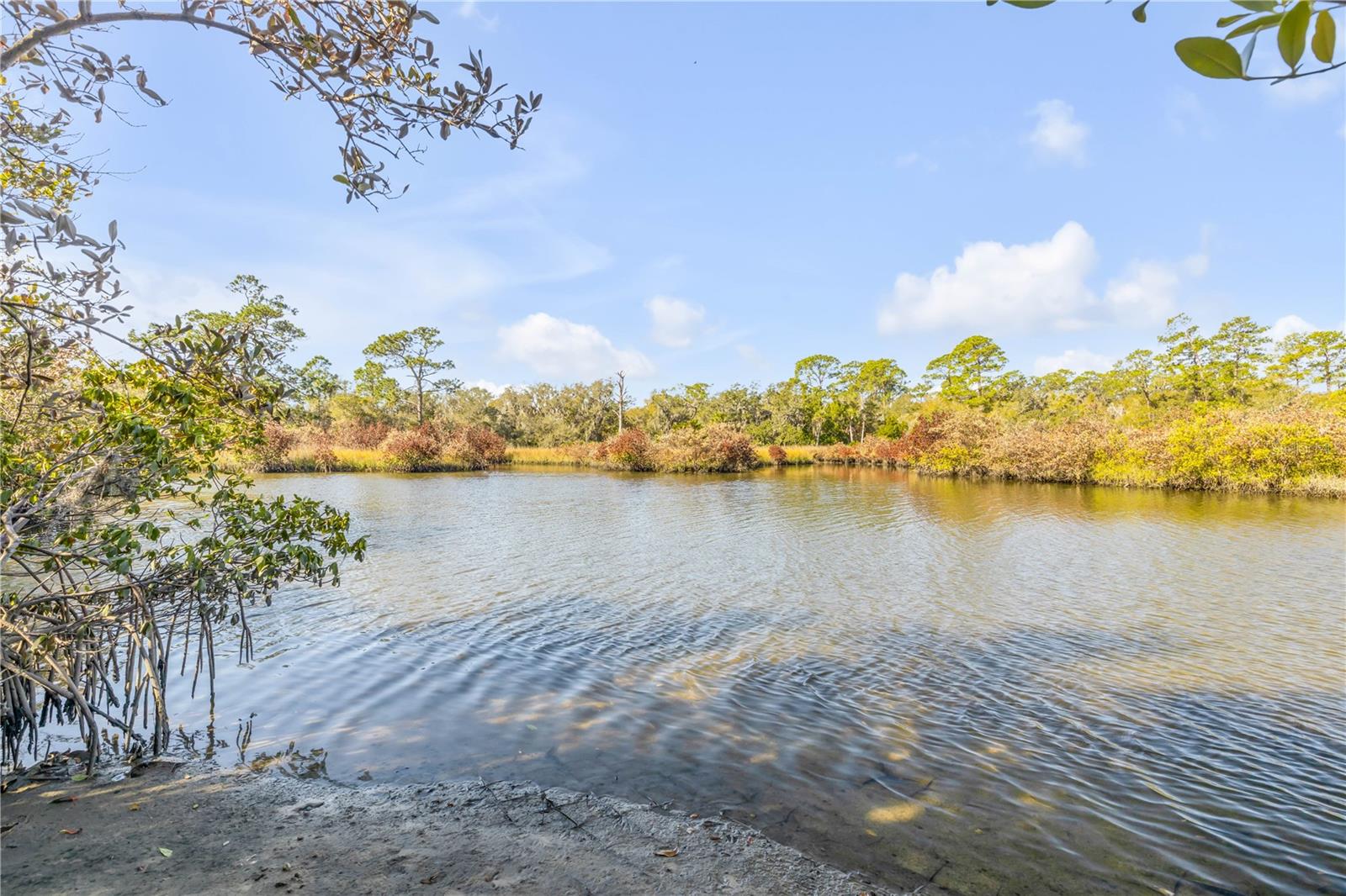 Image 64 of 72 For 3054 Dixie Freeway