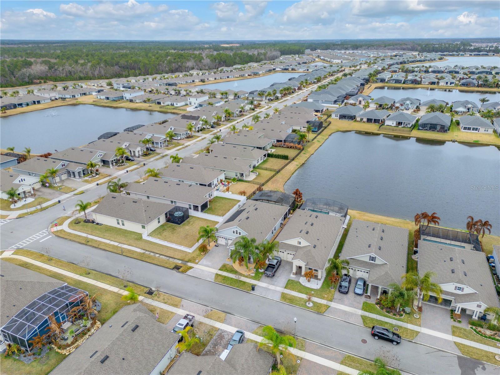 Image 8 of 62 For 3004 Borassus Drive