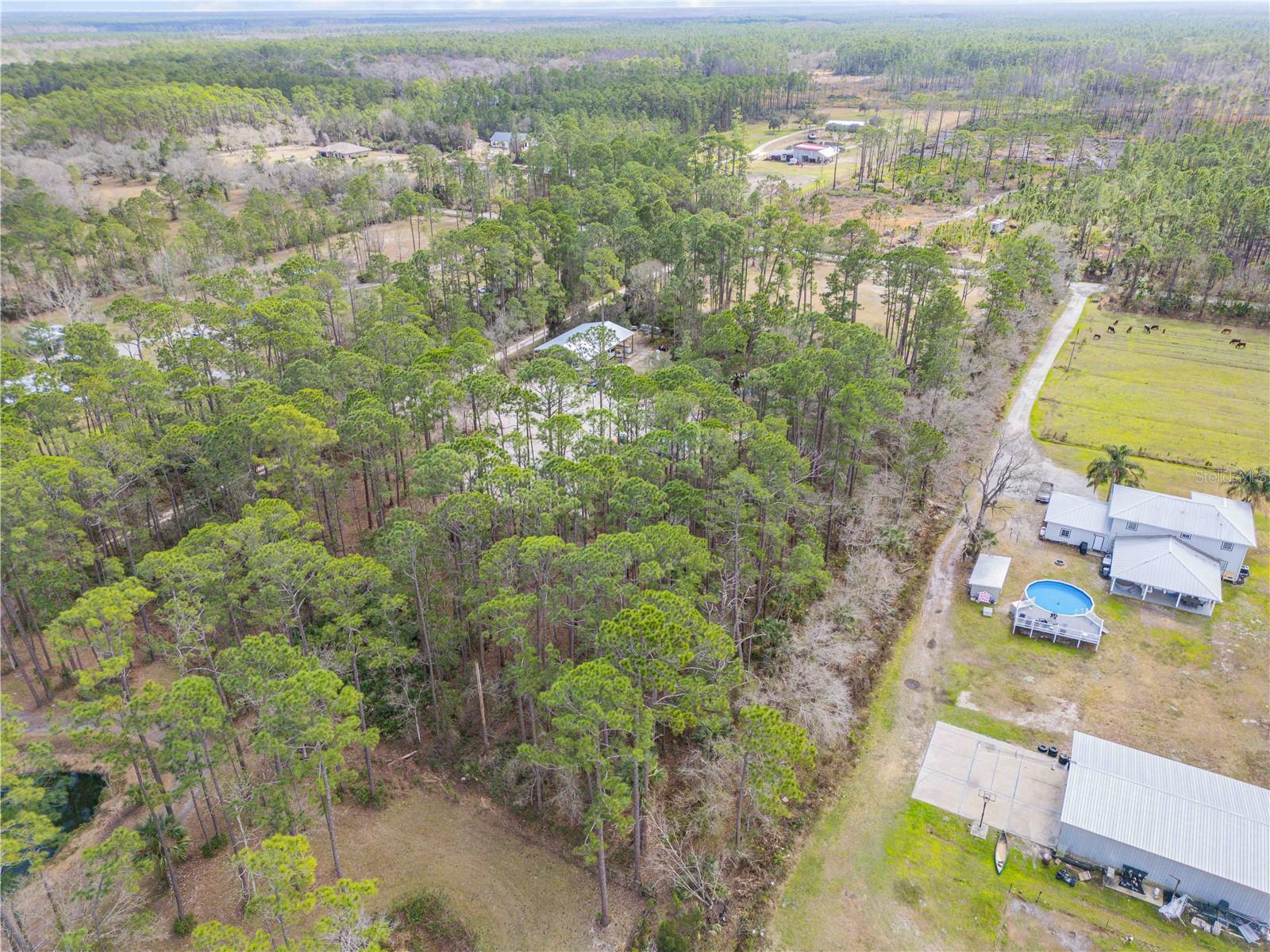 Image 6 of 23 For 3739 Honeydew Lane