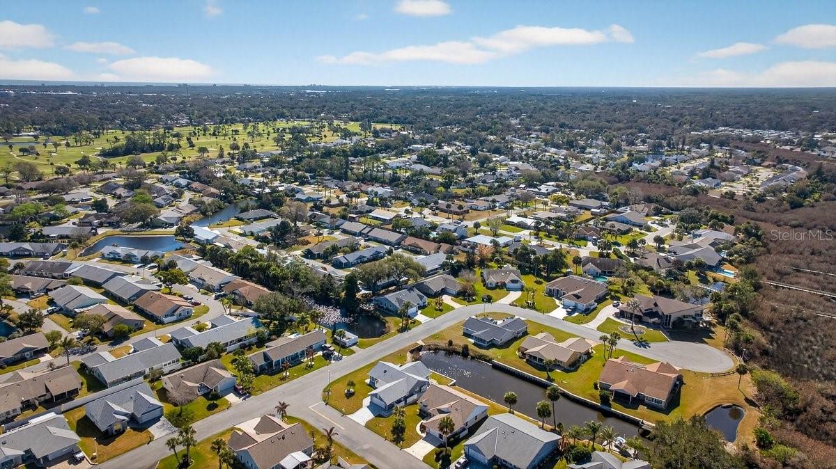 Image 35 of 54 For 331 Citrus Open Drive