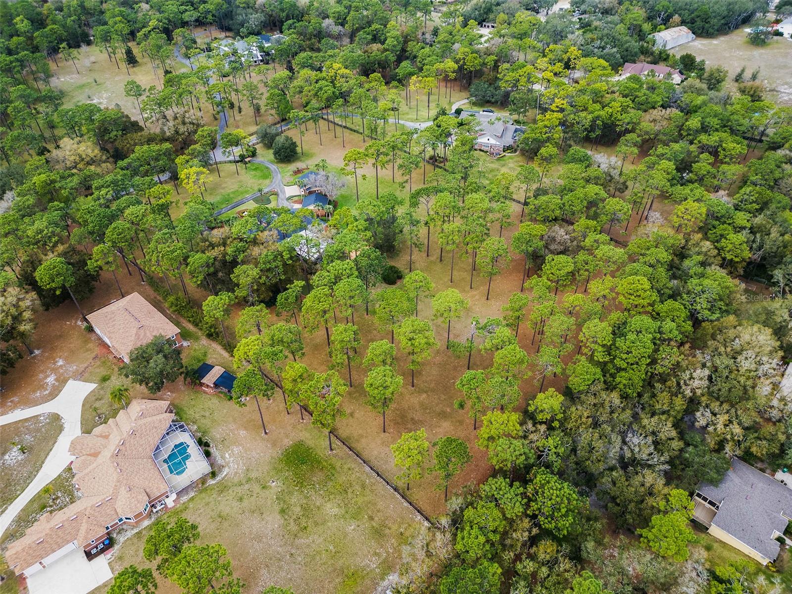 Image 13 of 55 For 2333 Southern Pines Place