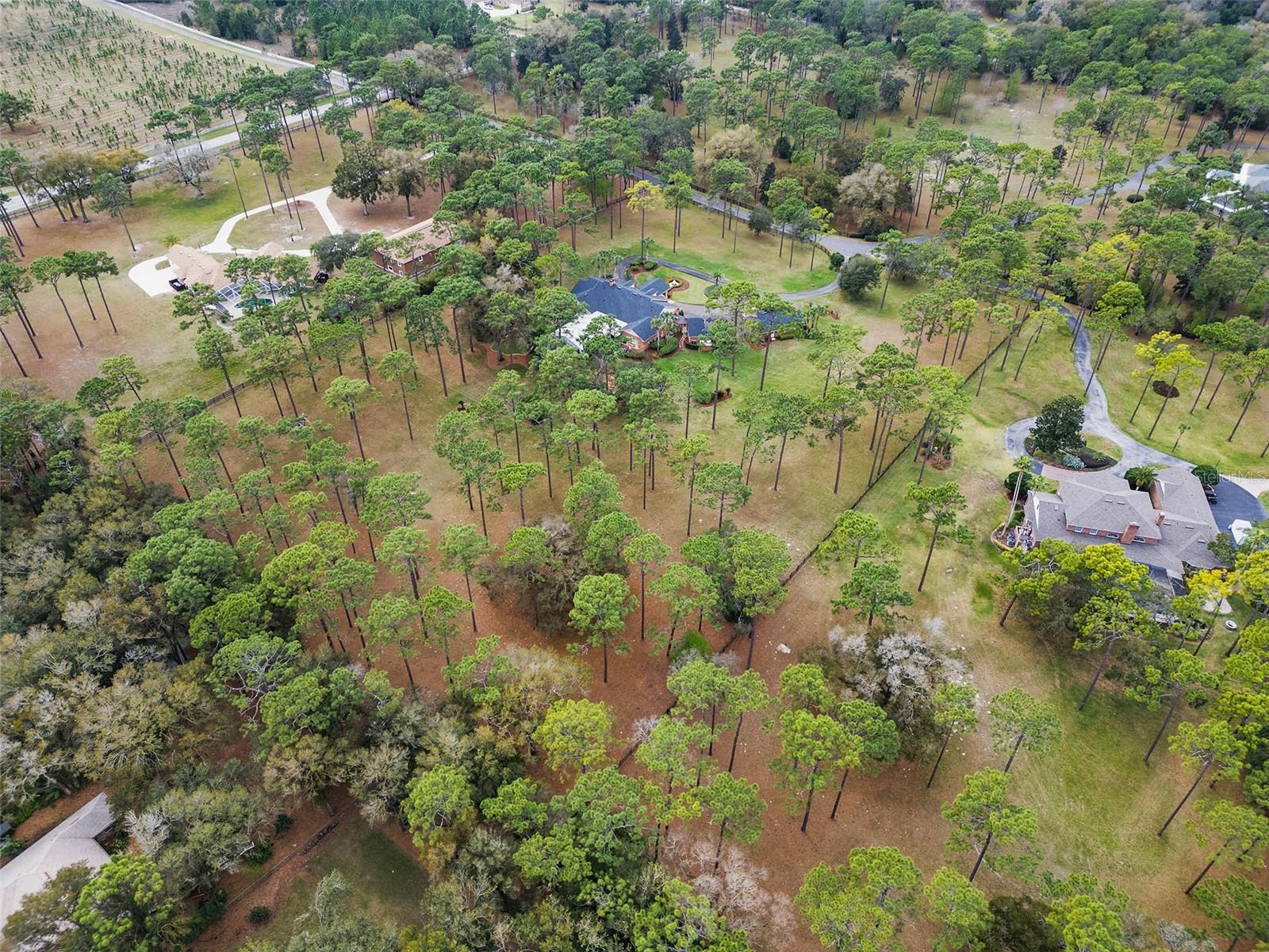 Image 14 of 55 For 2333 Southern Pines Place