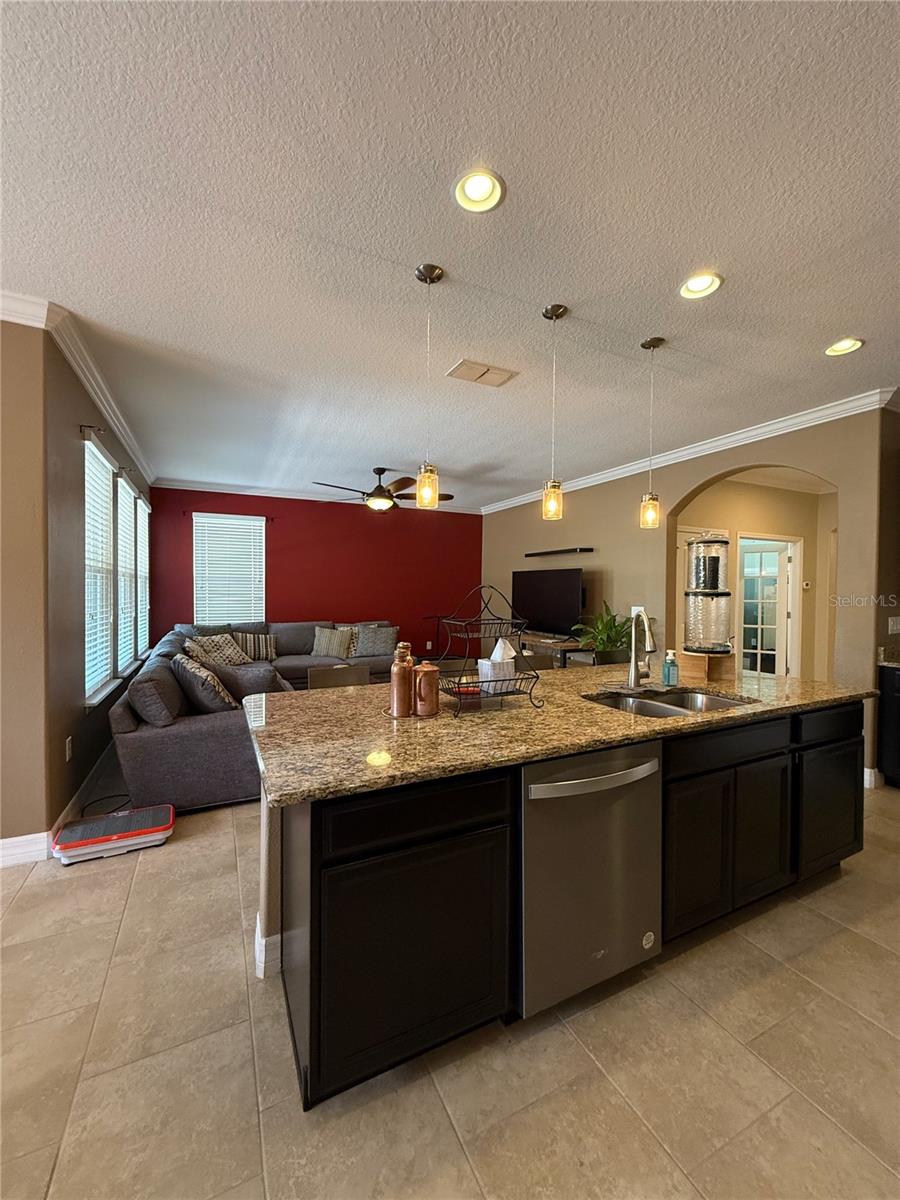 Image 6 of 39 For 264 Birkdale Drive