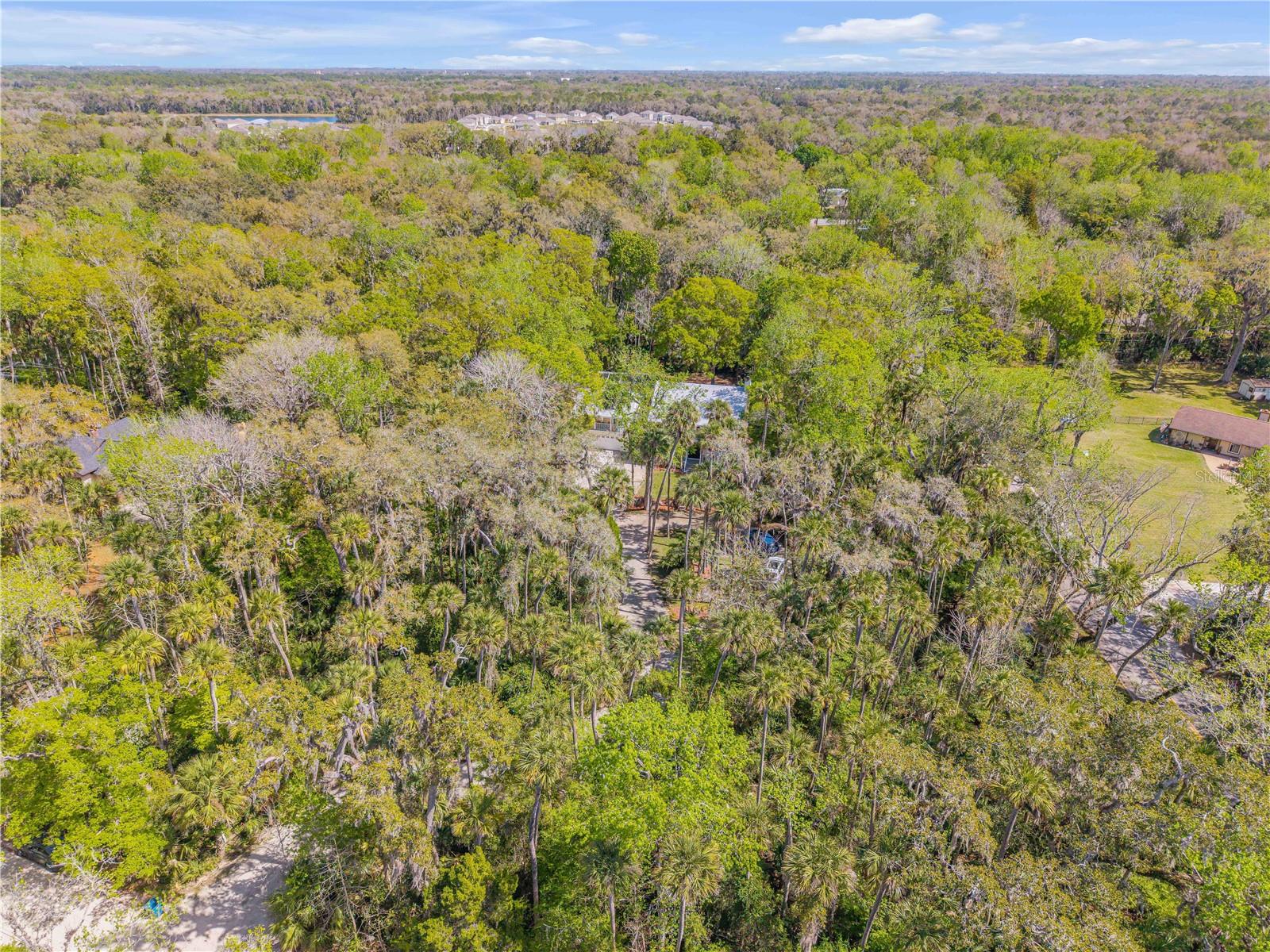 Image 96 of 100 For 2101 Knittle Circle