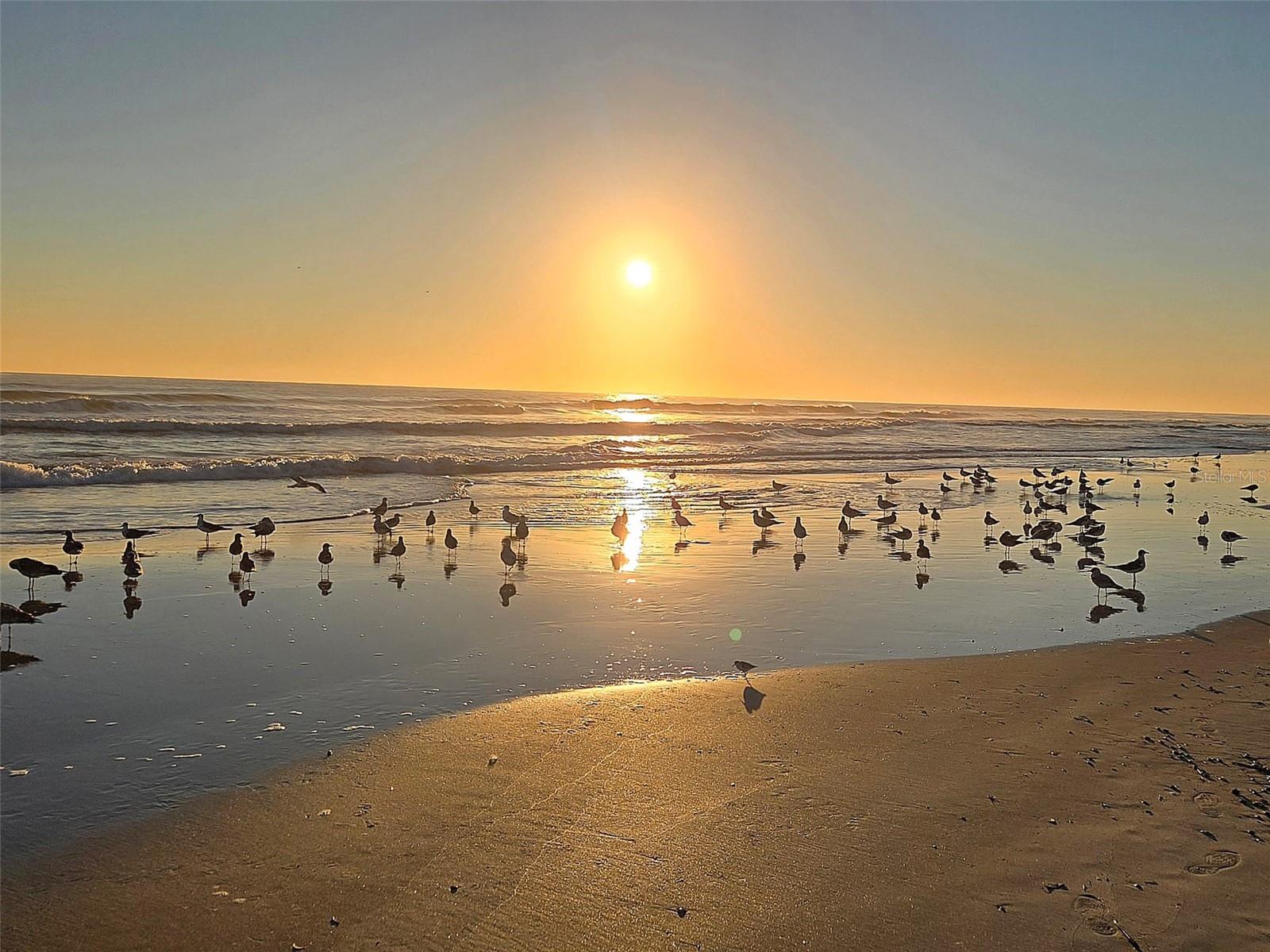 Image 38 of 40 For 3405 Atlantic Avenue 502