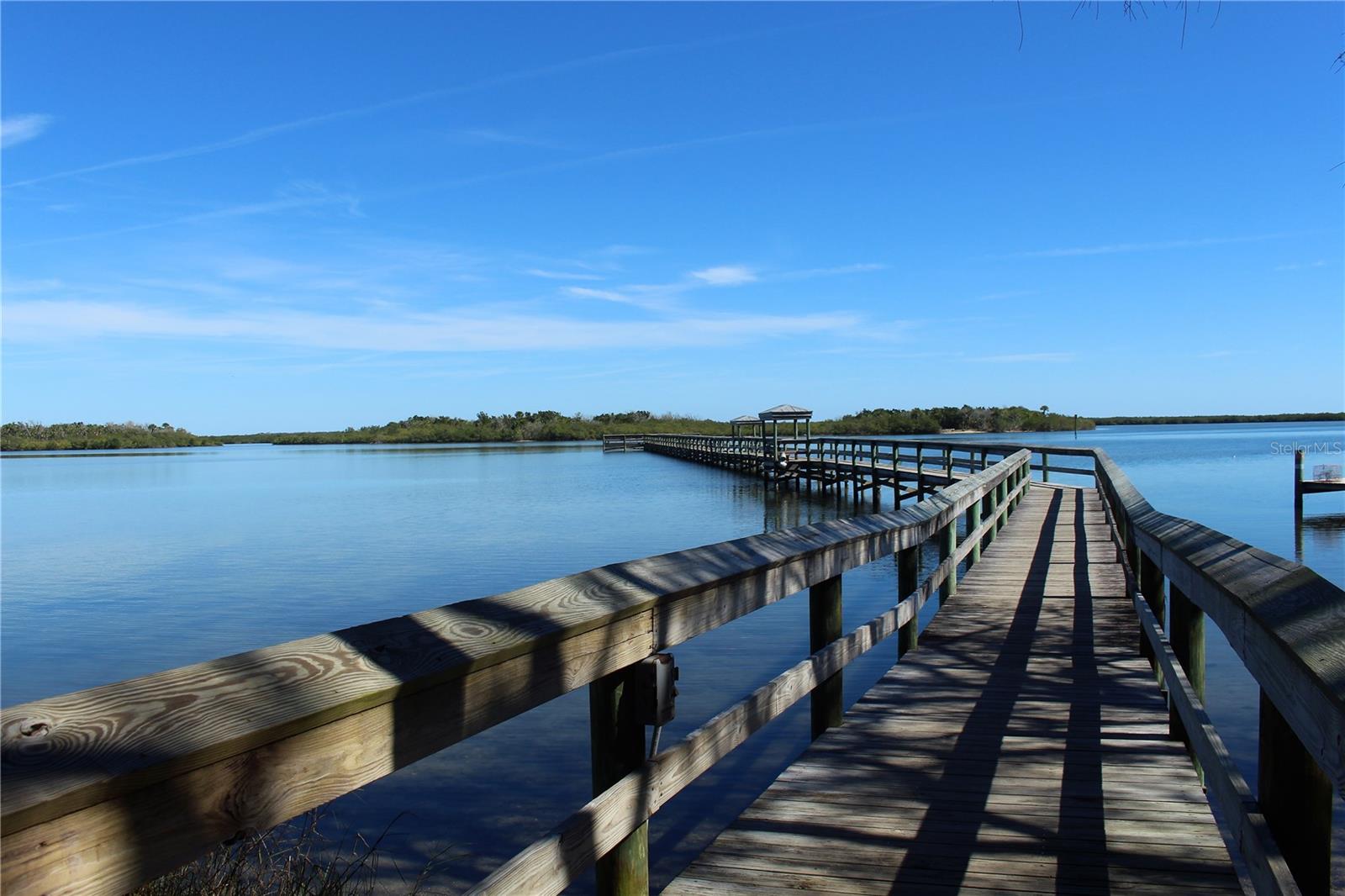 Image 43 of 50 For 317 Water Landing Drive