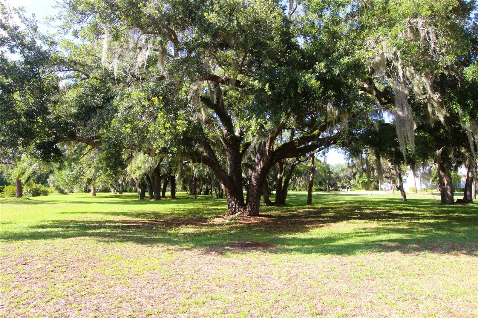 Image 50 of 50 For 317 Water Landing Drive