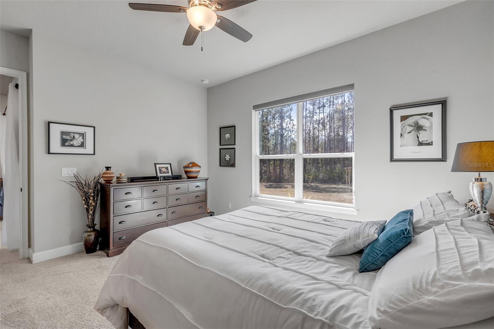 Image 28 of 86 For 13 Newhaven Lane