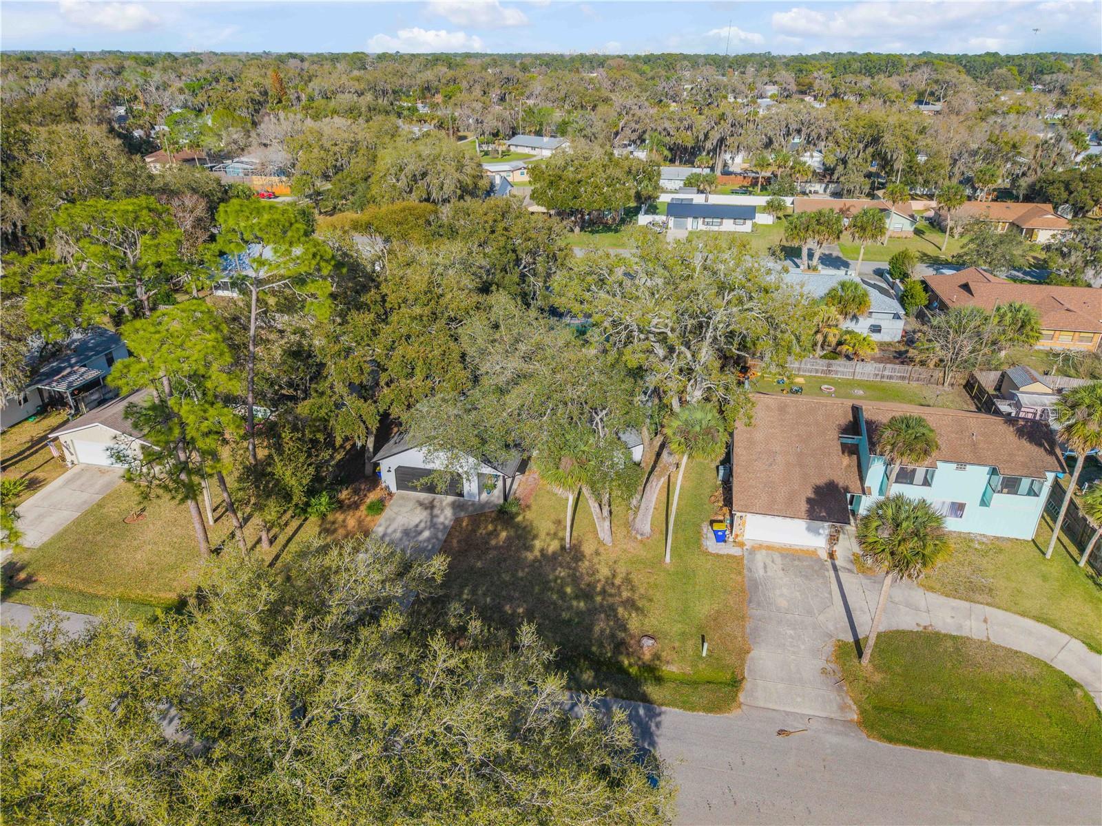 Image 40 of 50 For 2711 Pine Tree Drive