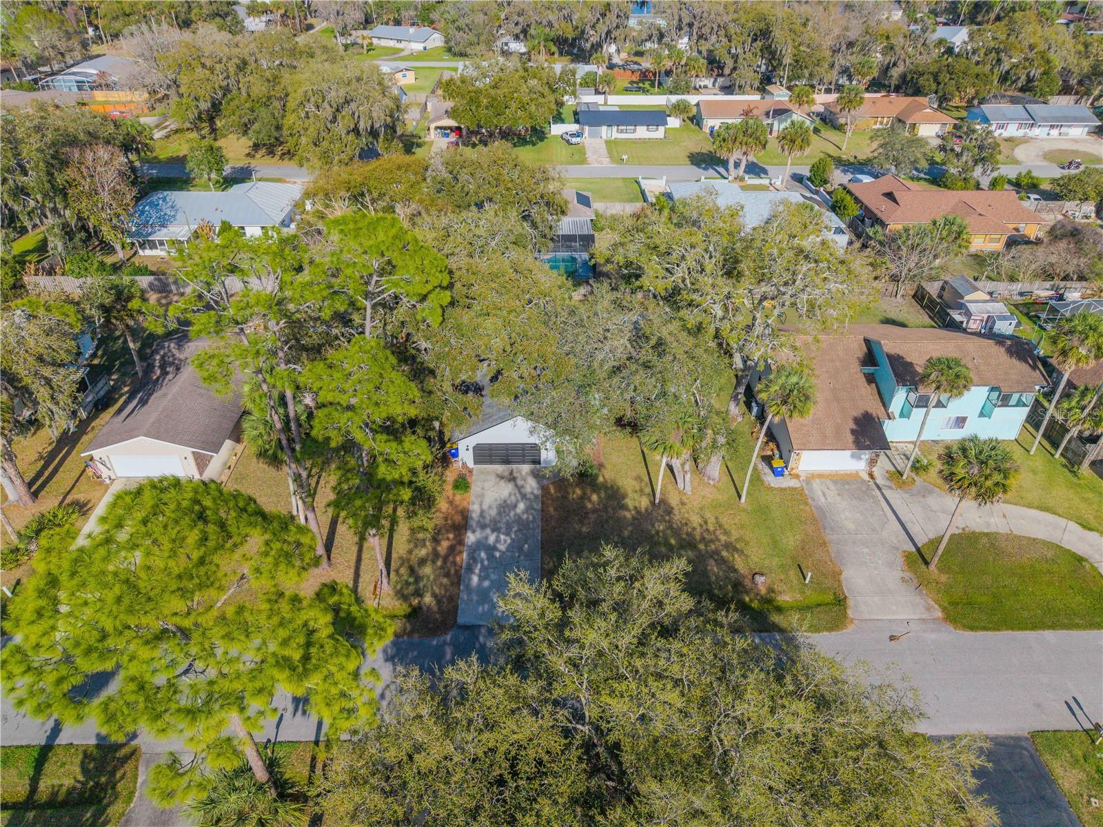 Image 41 of 50 For 2711 Pine Tree Drive