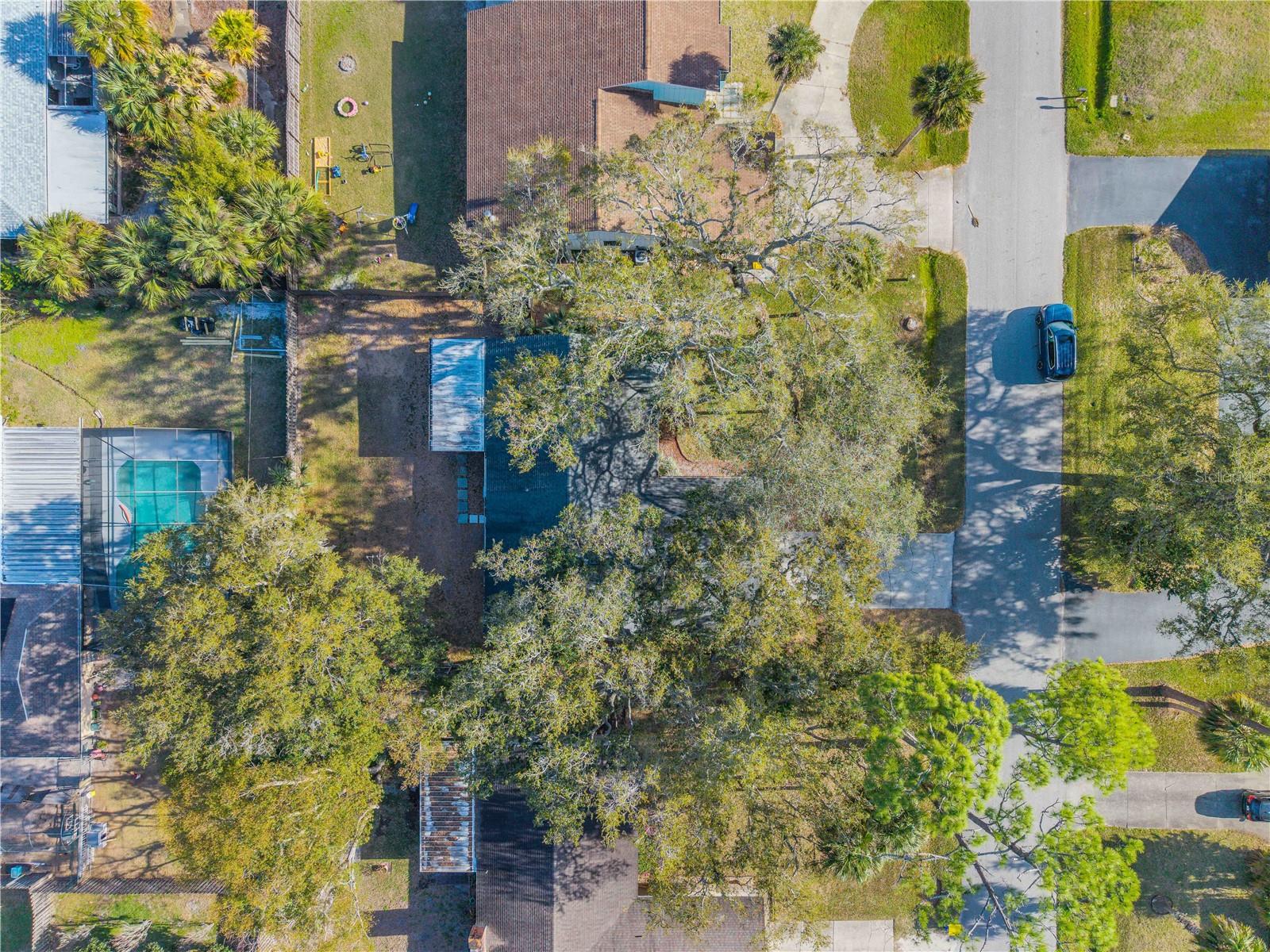 Image 42 of 50 For 2711 Pine Tree Drive