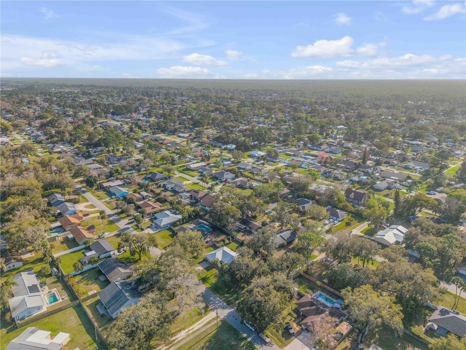 Image 49 of 50 For 2711 Pine Tree Drive