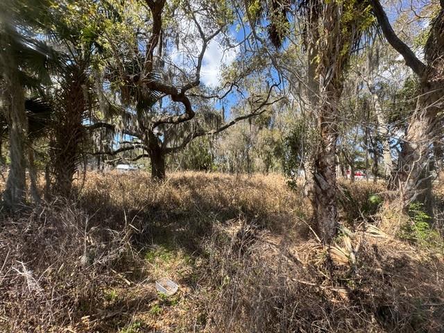 Image 6 of 7 For Wallace Road