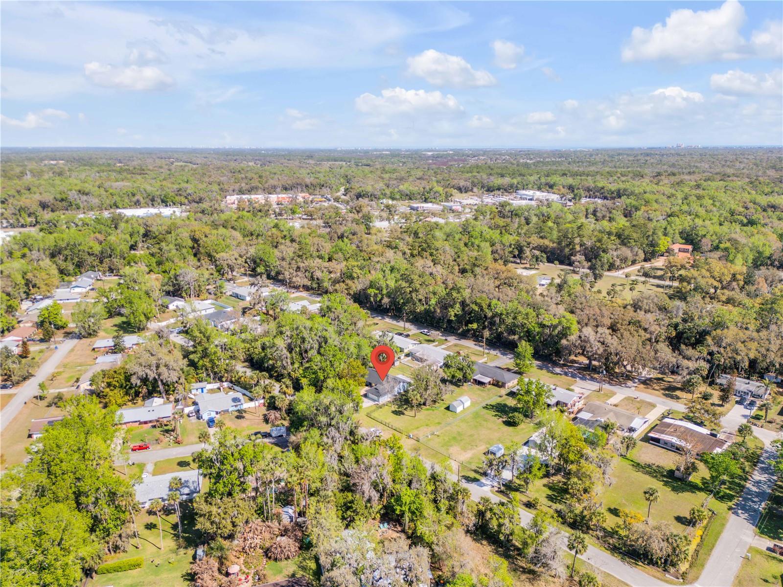 Image 4 of 49 For 451 Palm Drive