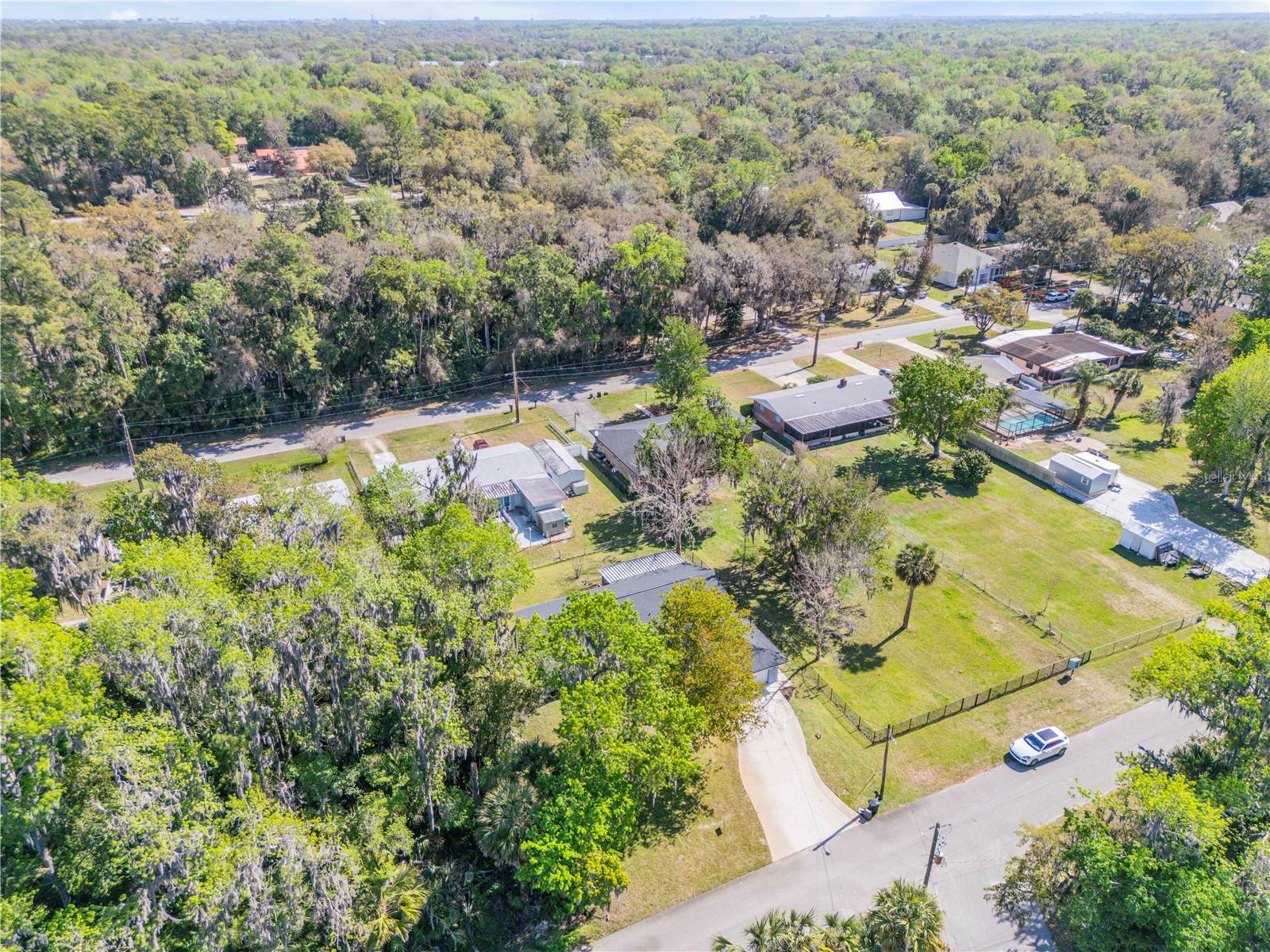 Image 46 of 49 For 451 Palm Drive