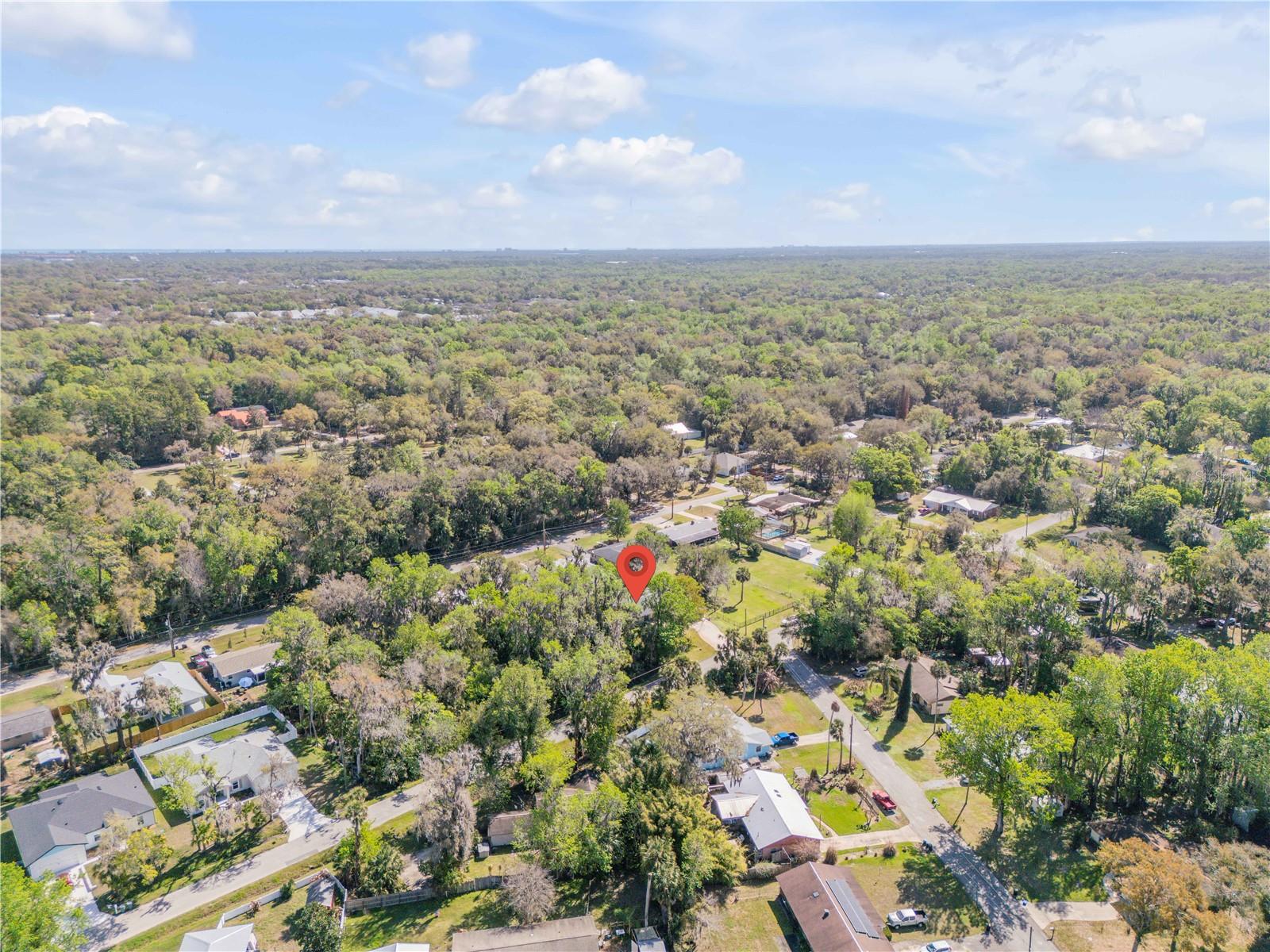 Image 47 of 49 For 451 Palm Drive