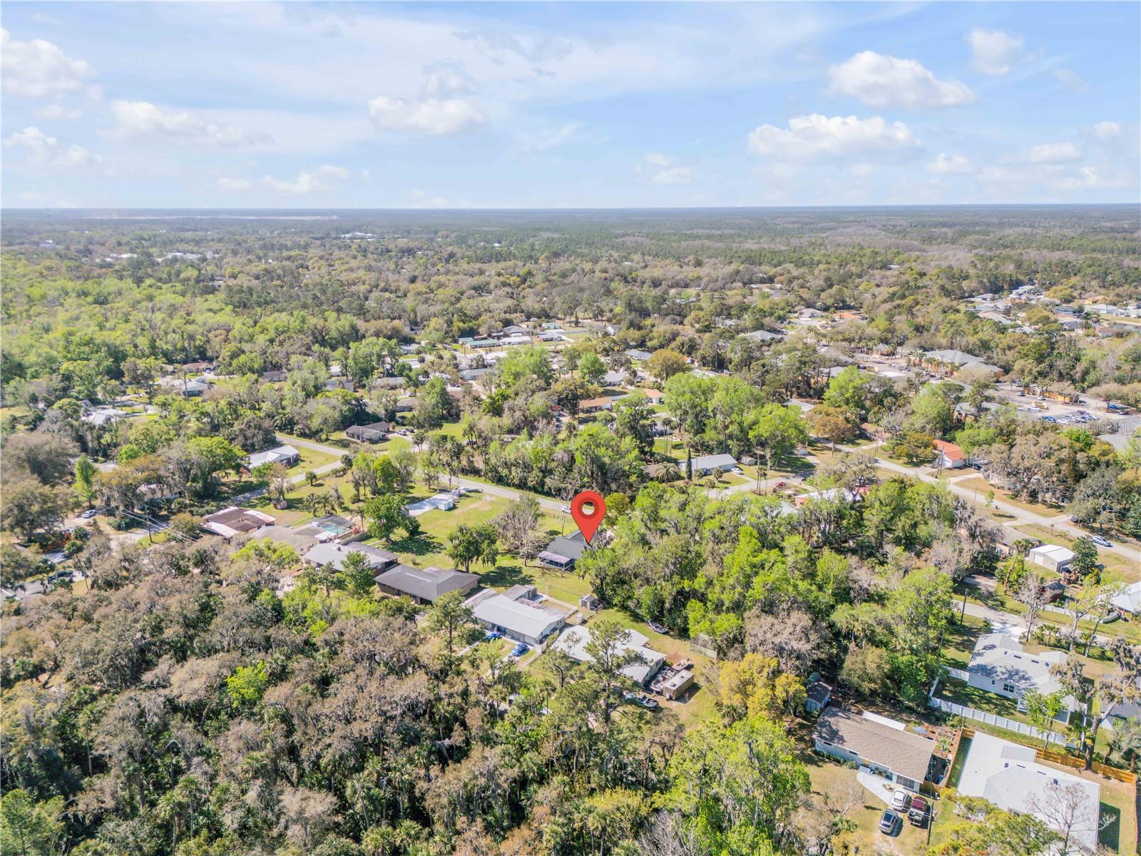 Image 48 of 49 For 451 Palm Drive