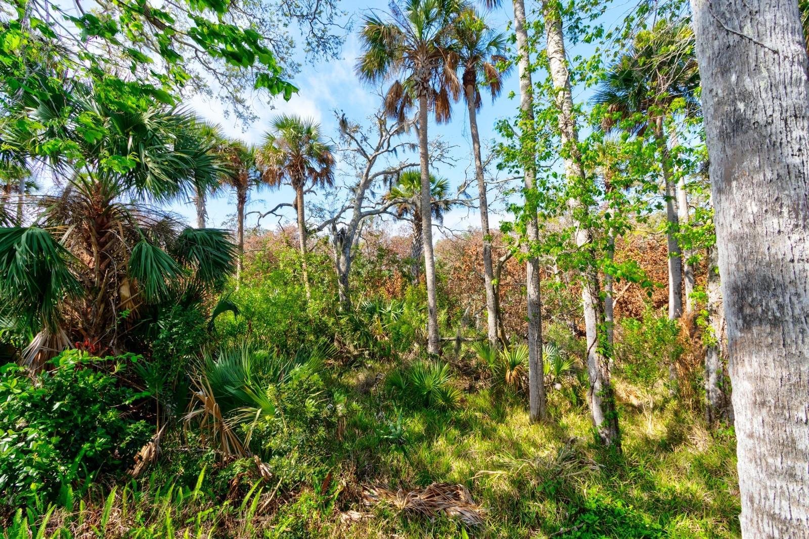 Image 31 of 36 For 1508 Saxon Drive