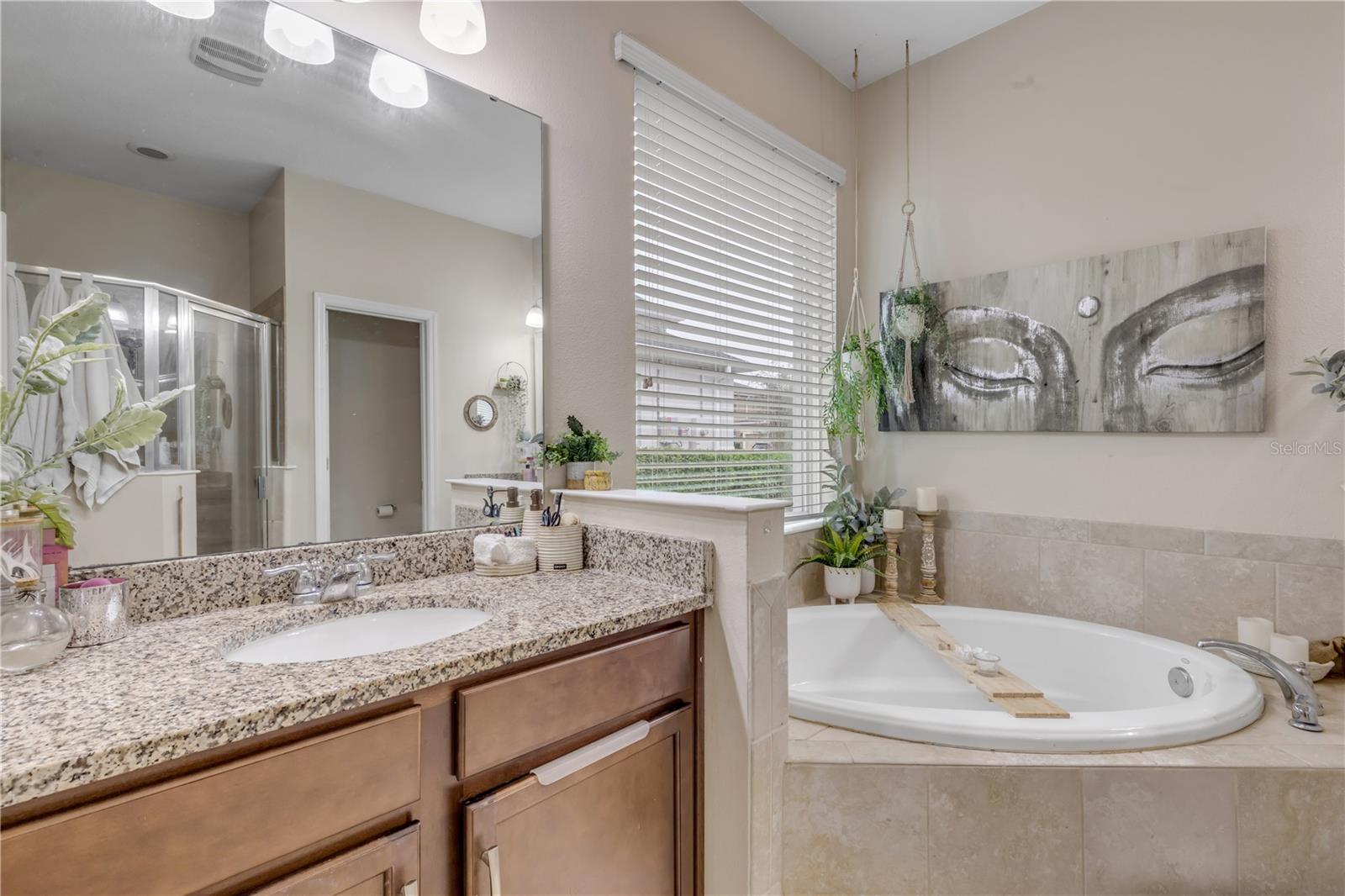 Image 32 of 66 For 637 Bluehearts Trail