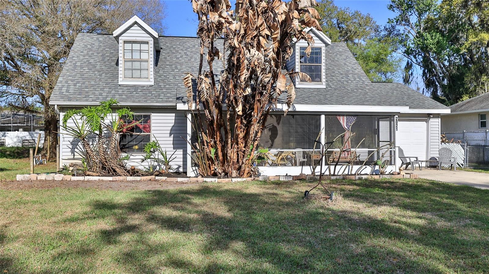 Image 2 of 27 For 2021 Umbrella Tree Drive