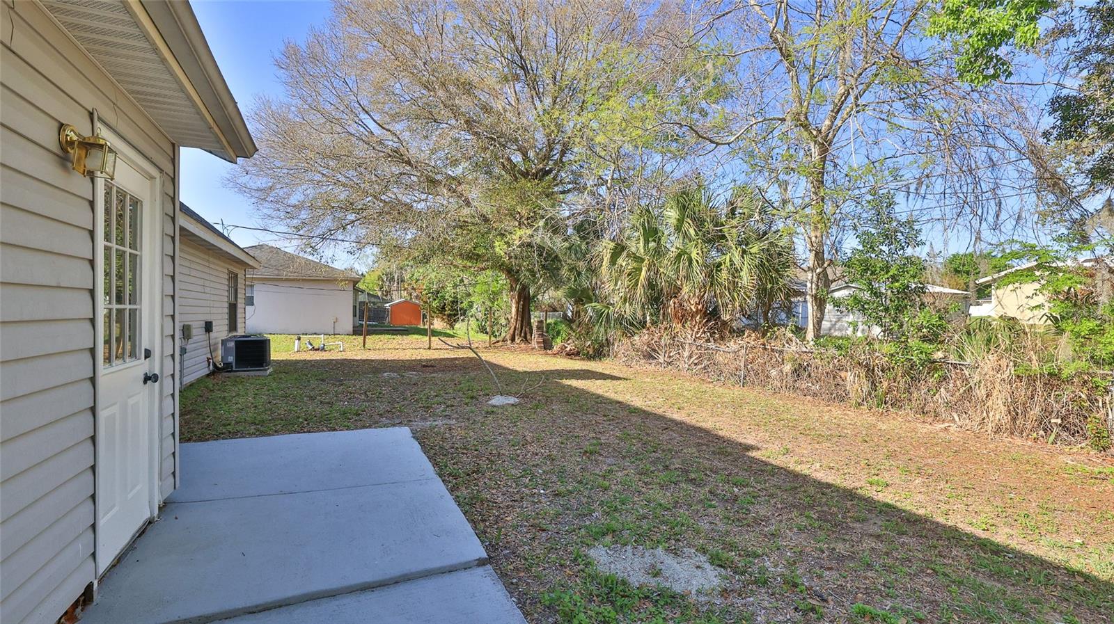 Image 25 of 27 For 2021 Umbrella Tree Drive