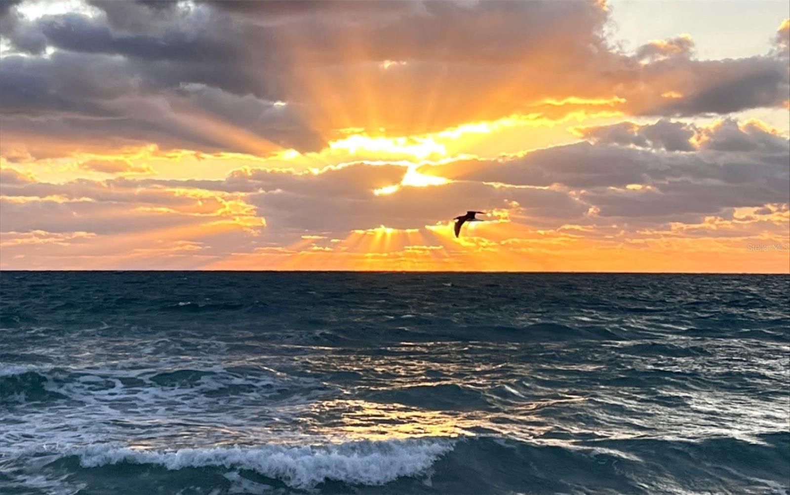 Image 53 of 57 For 3606 Peninsula Drive 614