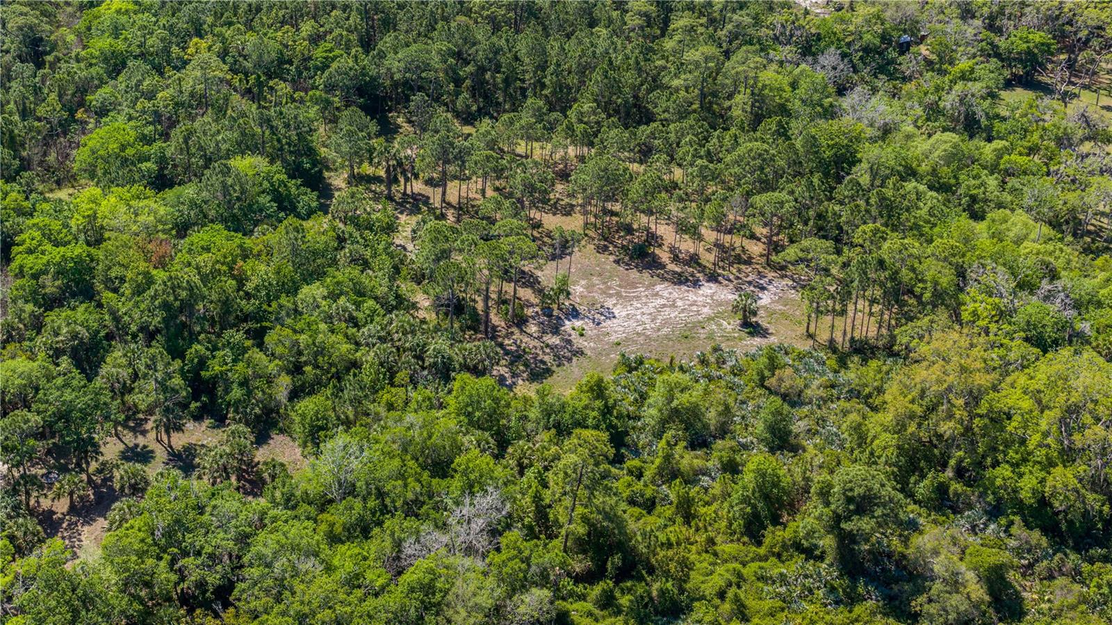 Image 12 of 15 For  S Us Hwy 1  