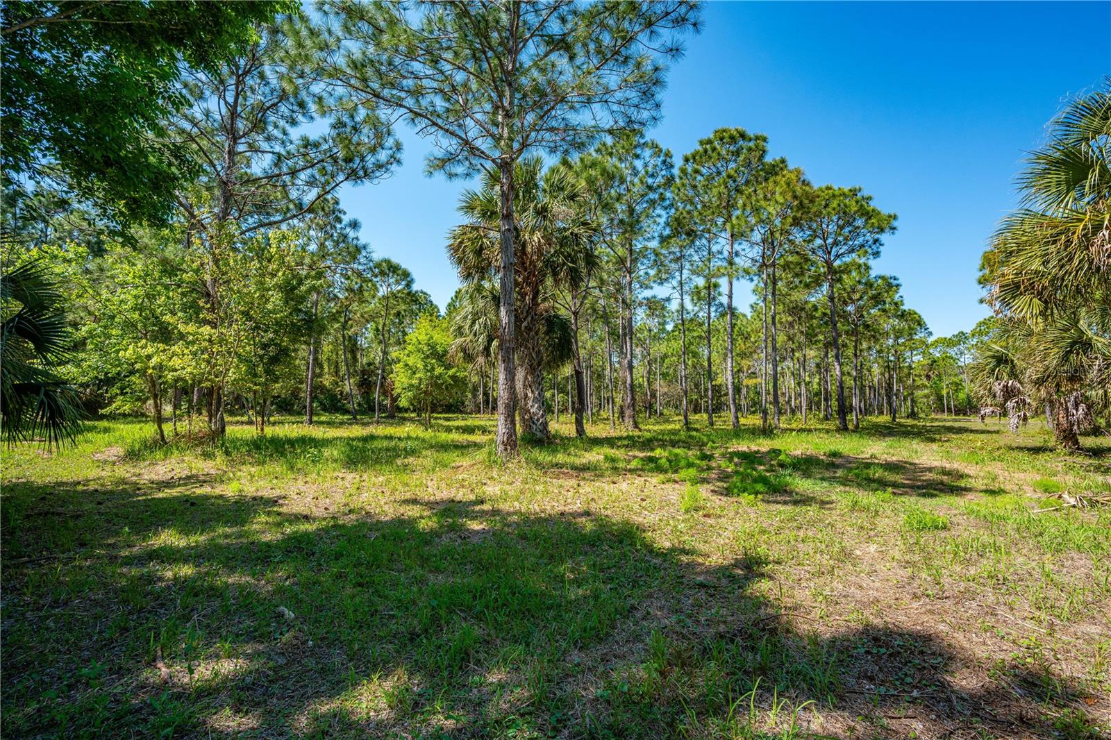 Image 13 of 15 For  S Us Hwy 1  