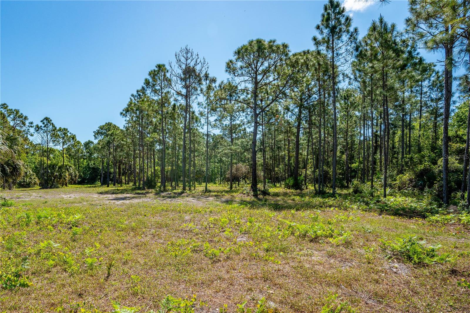 Image 14 of 15 For  S Us Hwy 1  