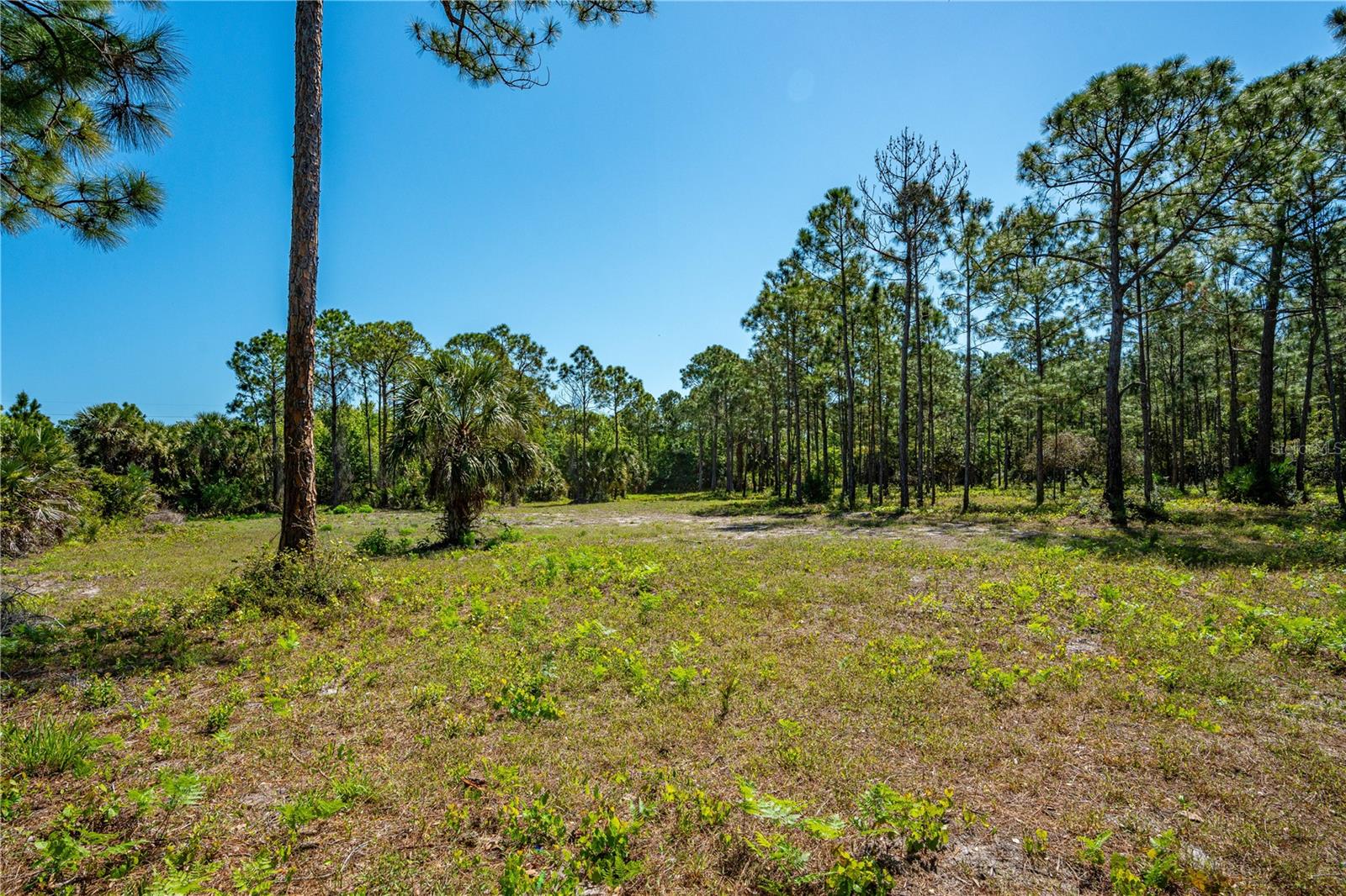 Image 15 of 15 For  S Us Hwy 1  