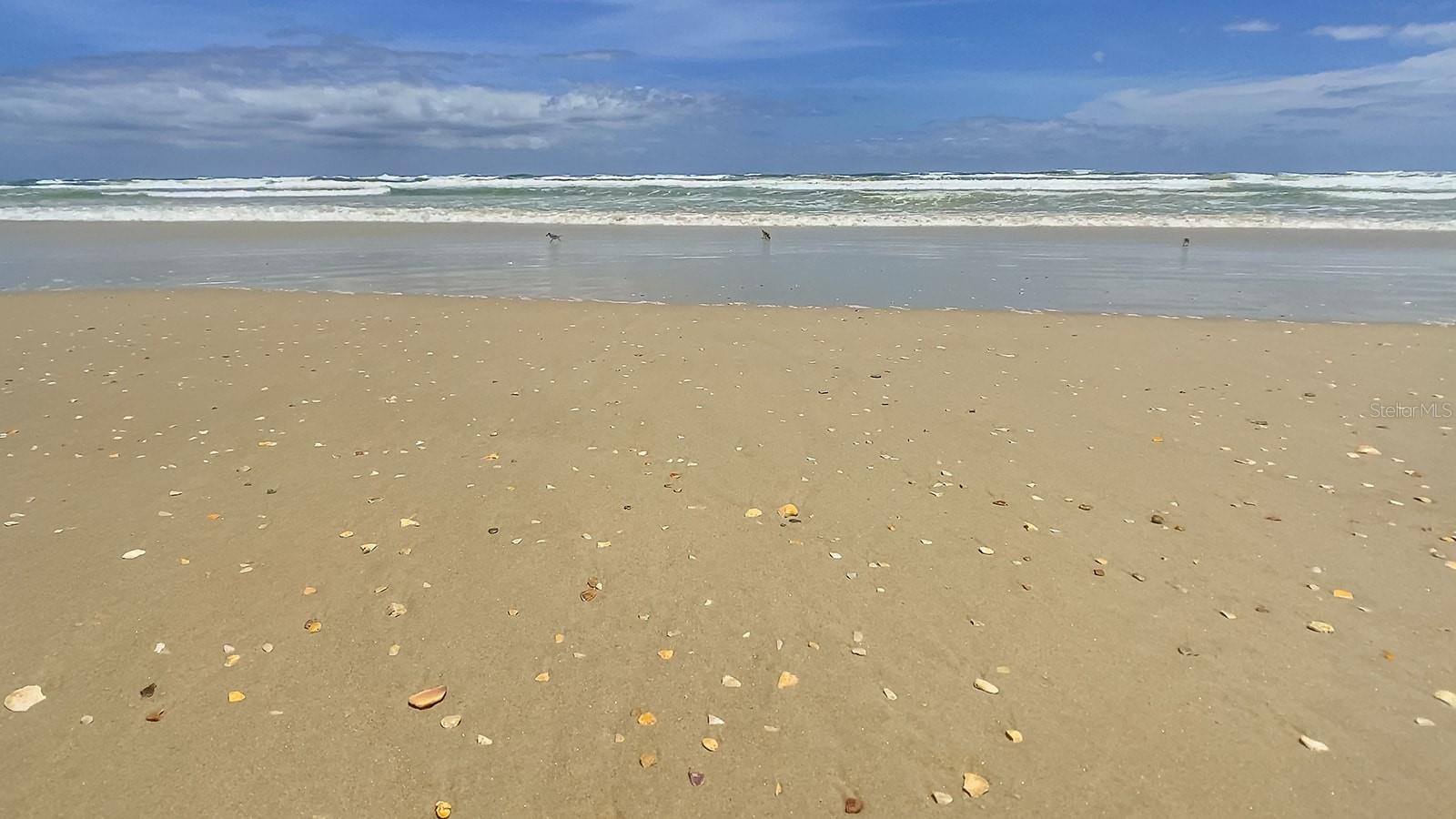 Image 44 of 54 For 4501 Atlantic Avenue 209