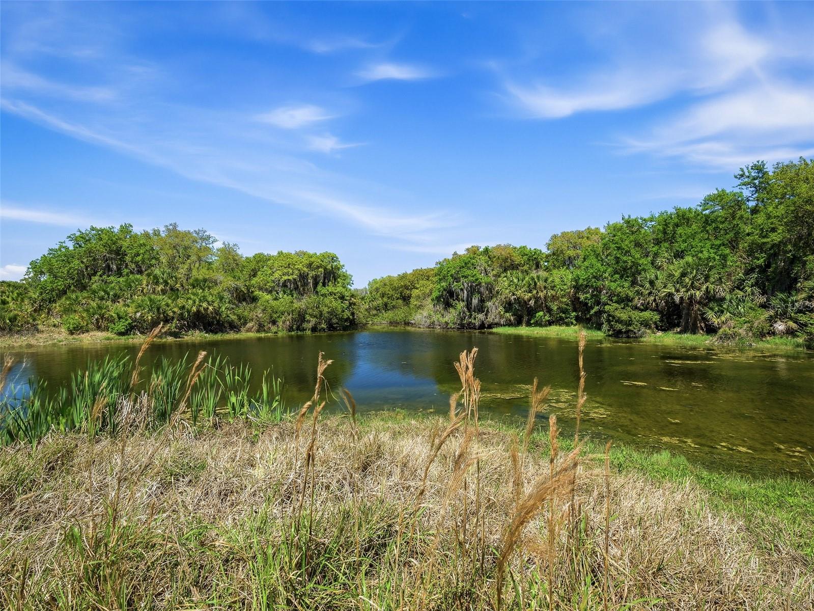 Image 30 of 45 For 387 Marsh Landing Loop