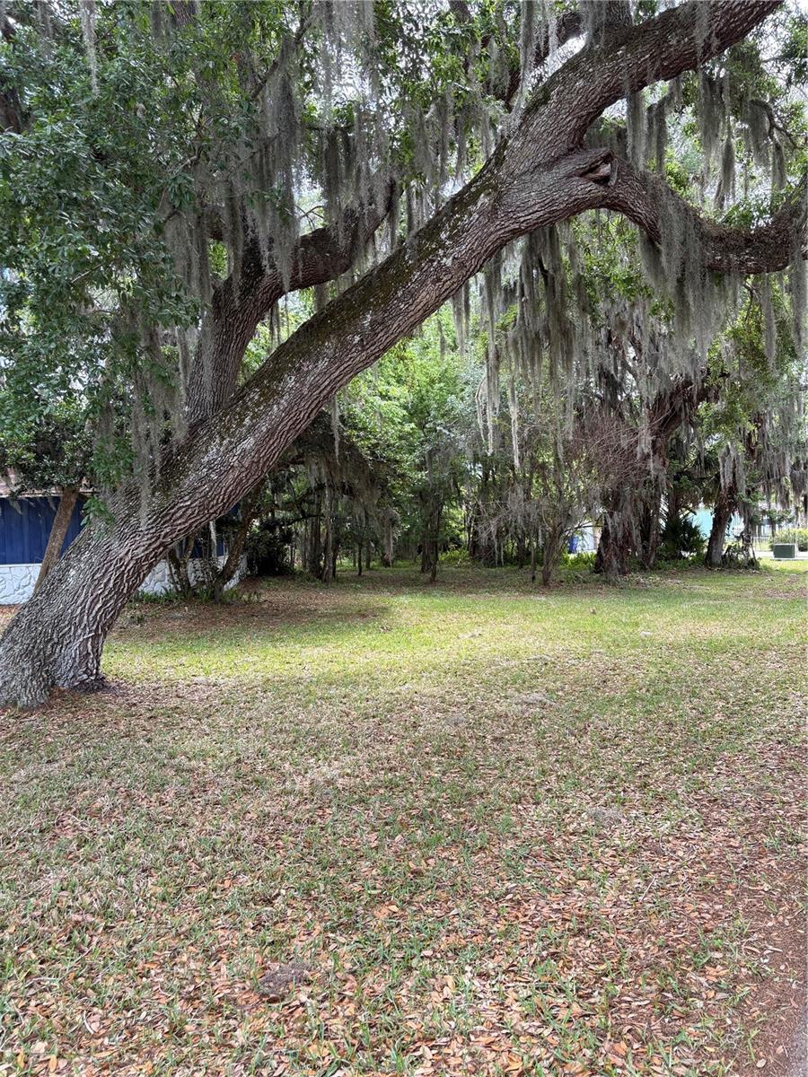 Image 9 of 10 For 2203 Lime Tree Drive