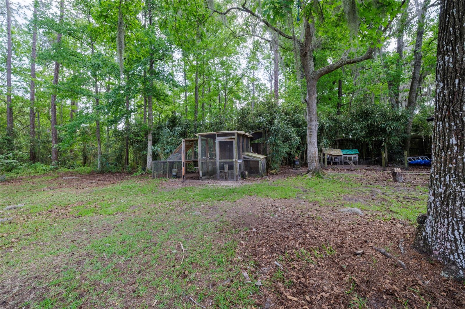 Image 36 of 40 For 379 Oakridge Road