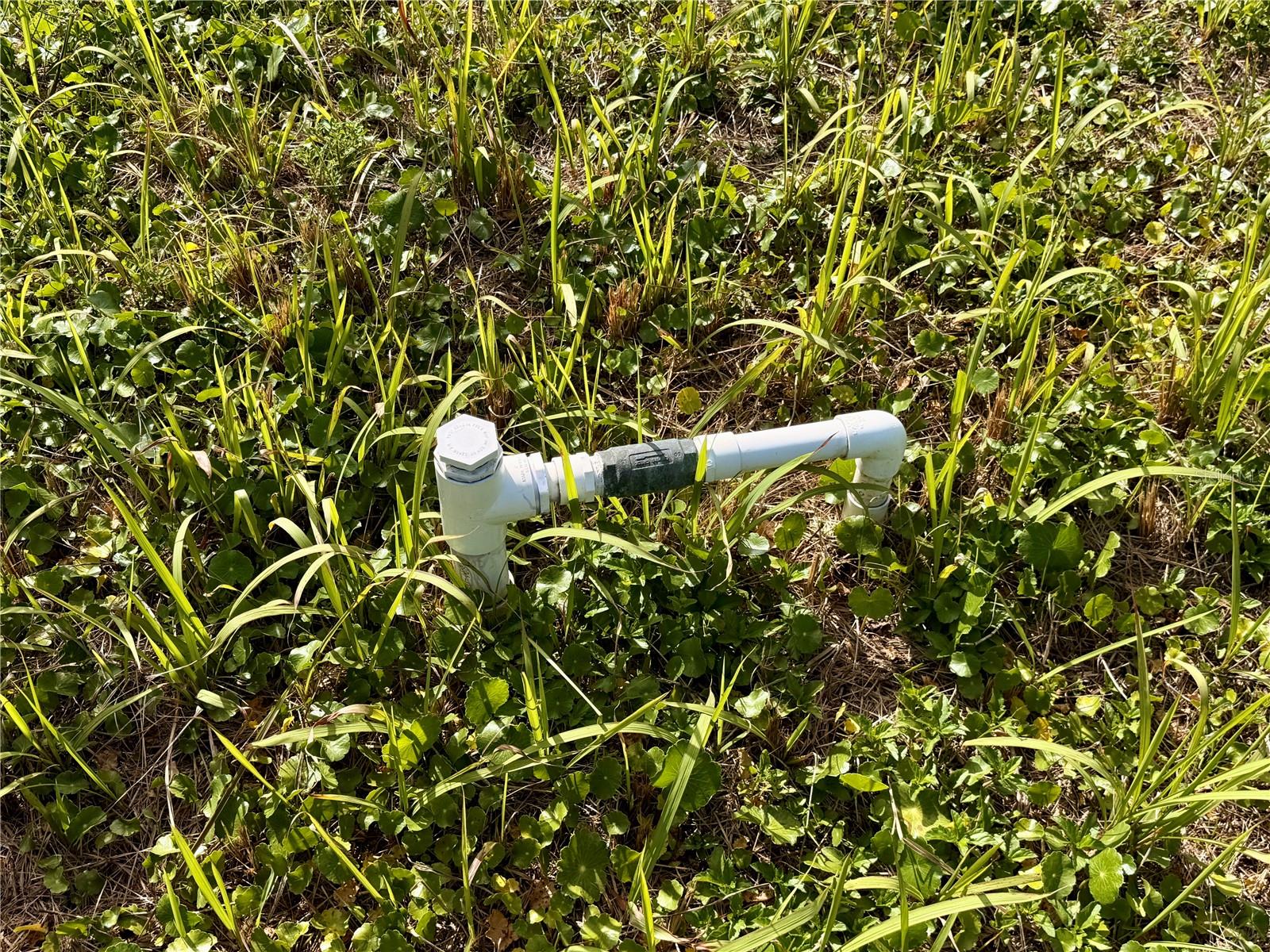 Image 7 of 8 For 180 Mae Street