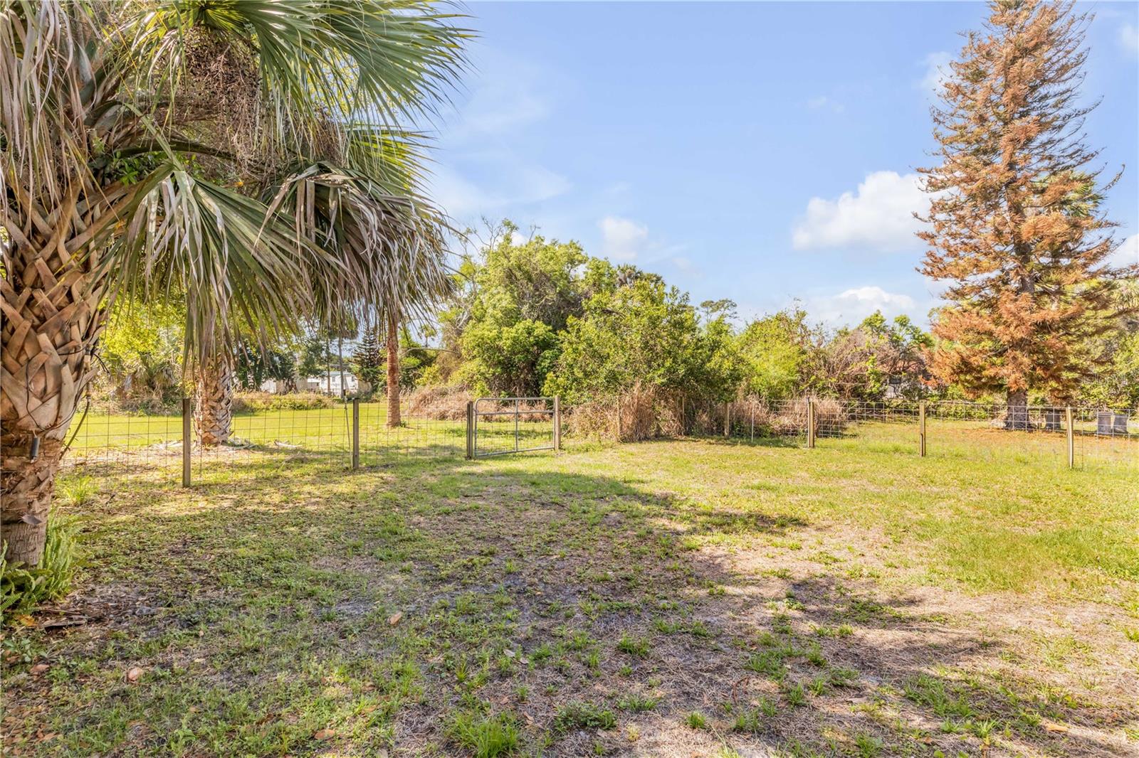 Image 30 of 32 For 114 Pine Bluff Street