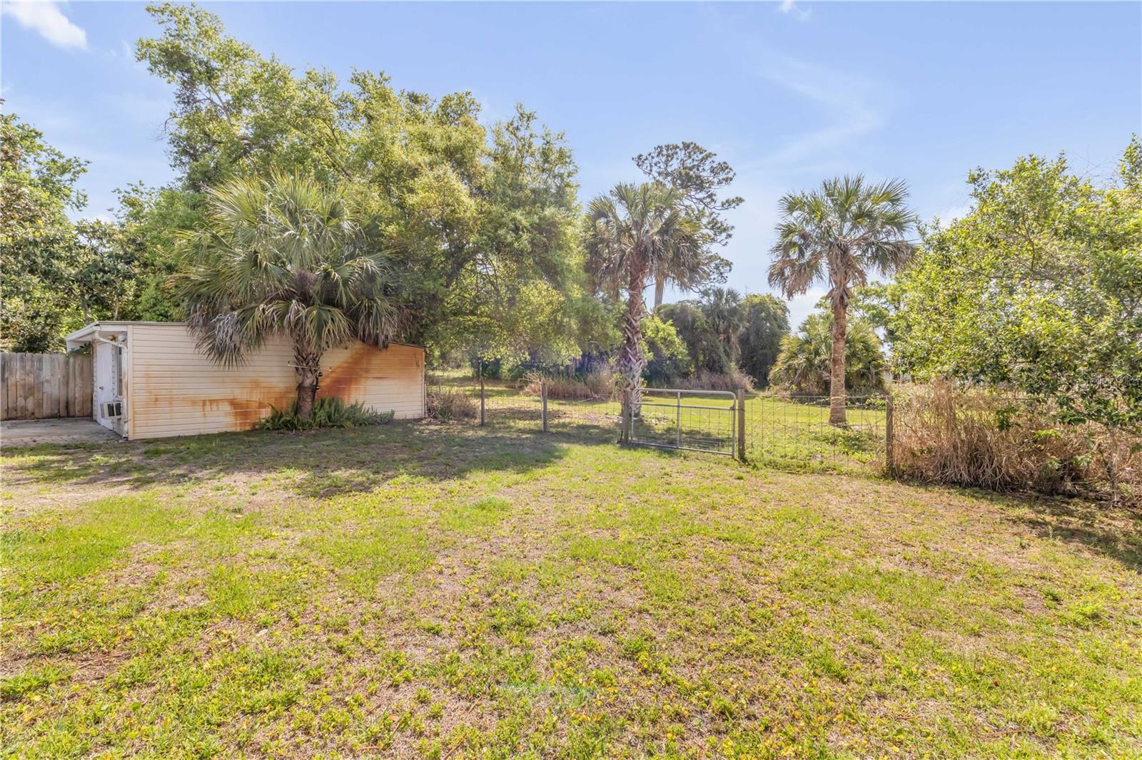 Image 31 of 32 For 114 Pine Bluff Street