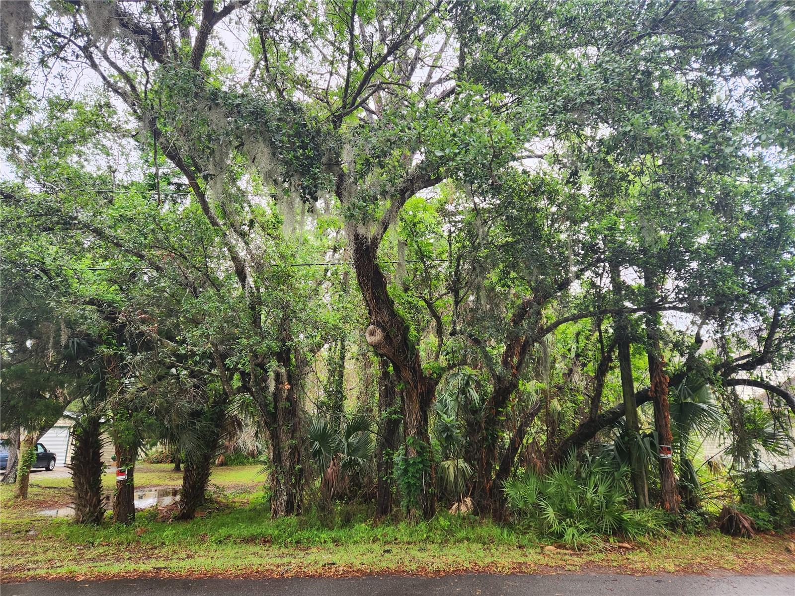 Listing Details for Brookline Avenue, NEW SMYRNA BEACH, FL 32168