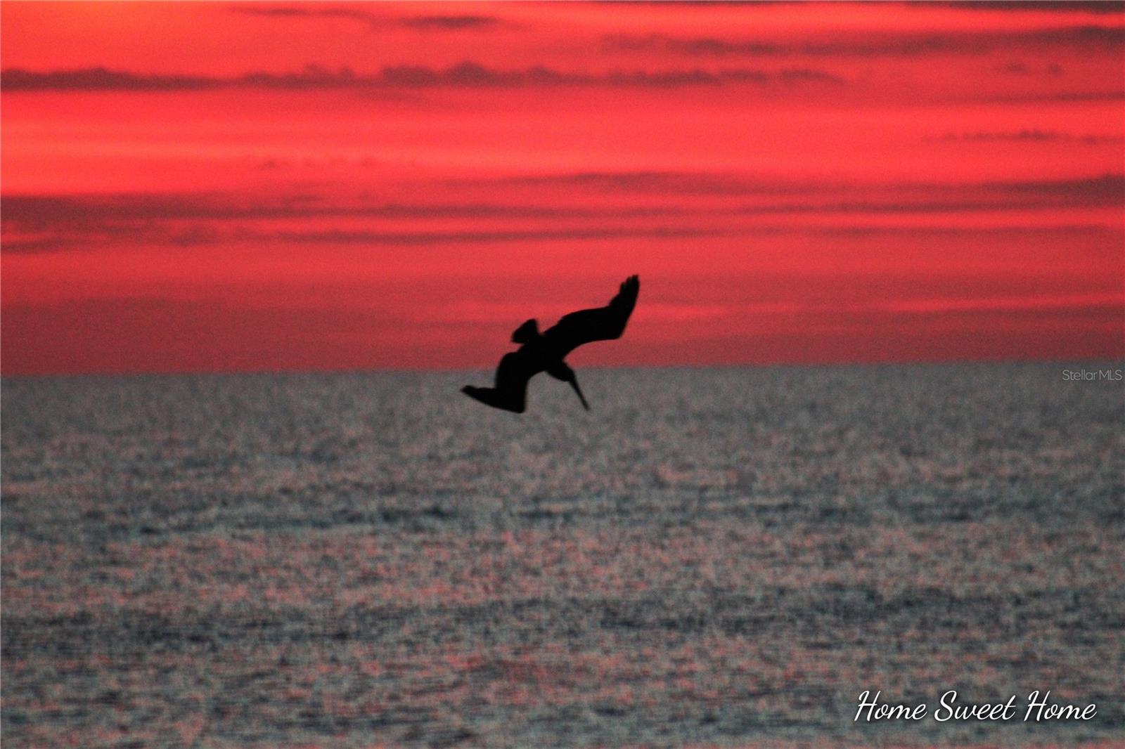 Image 38 of 43 For 3051 S. Atlantic Avenue S050