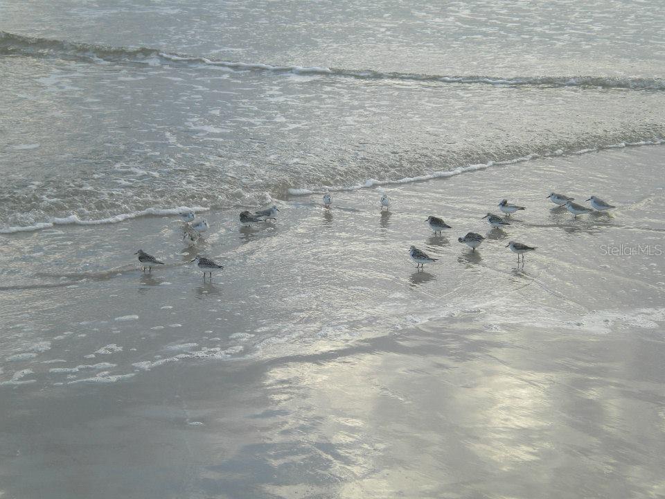 Image 49 of 53 For 2271 Candlewood Lane