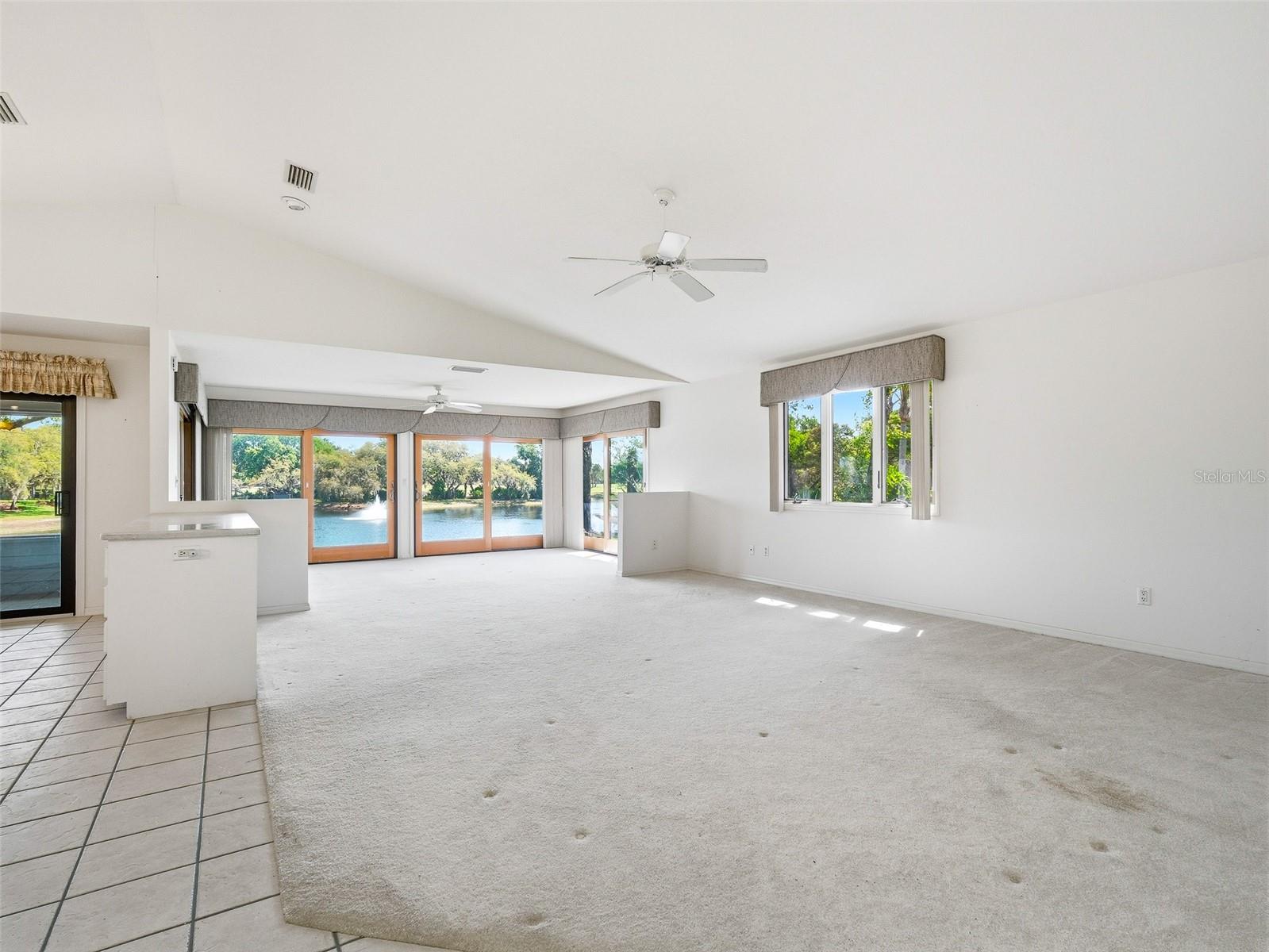 Image 17 of 63 For 1107 Loch Lomond Court